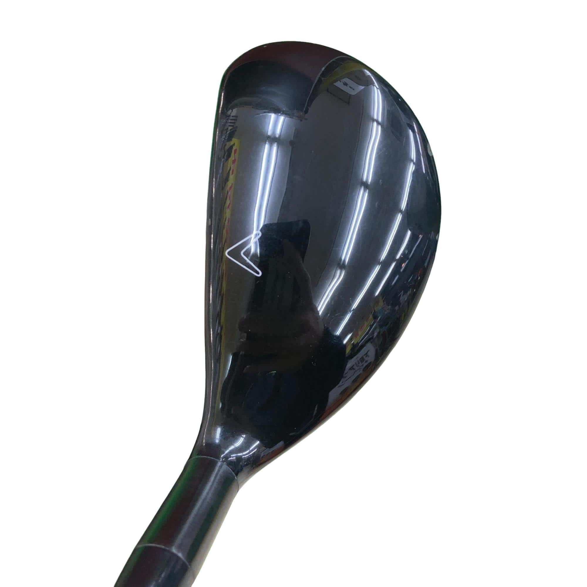 �w�Q�@�g�n�s�@�t�T