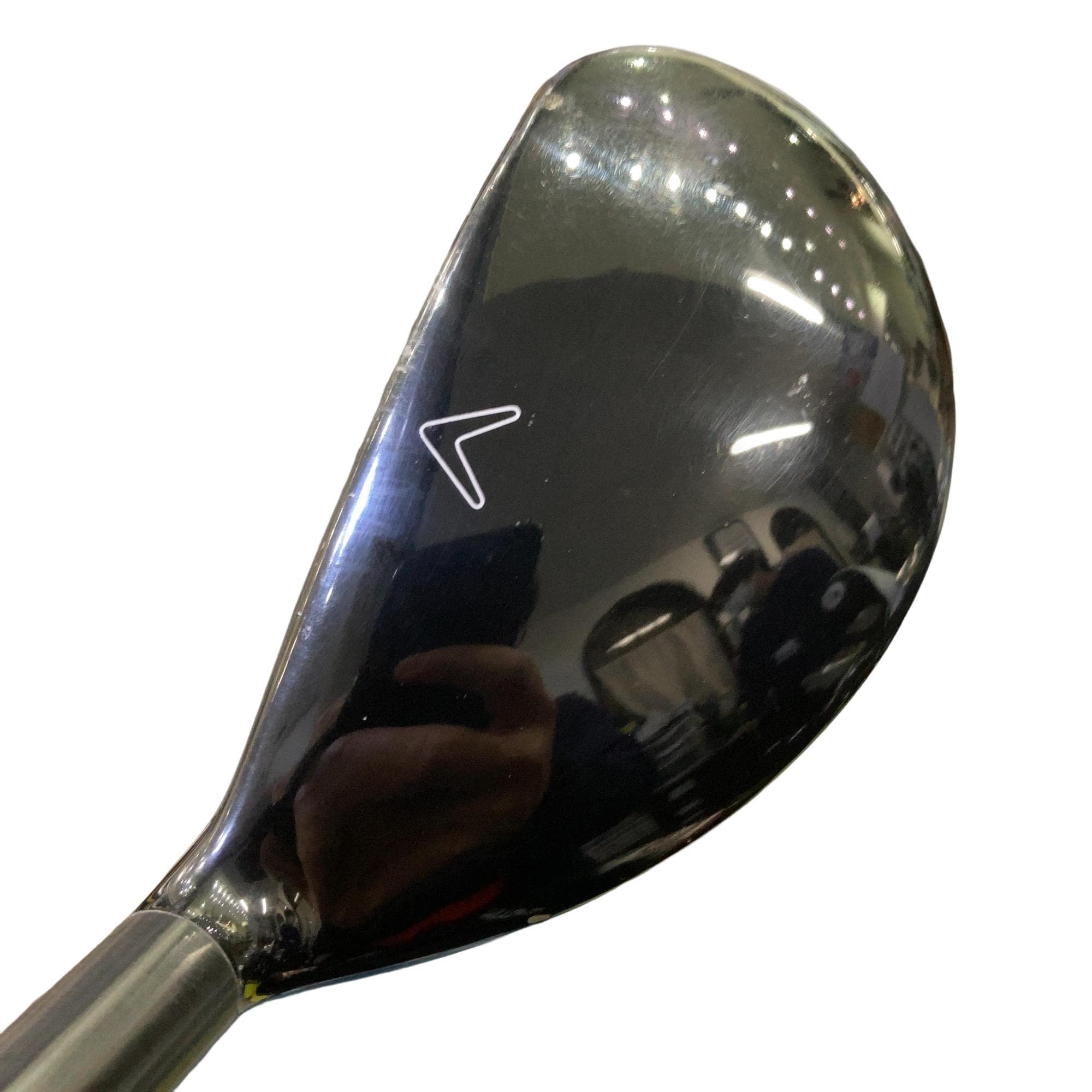 �w�Q�@�g�n�s�@�t�R