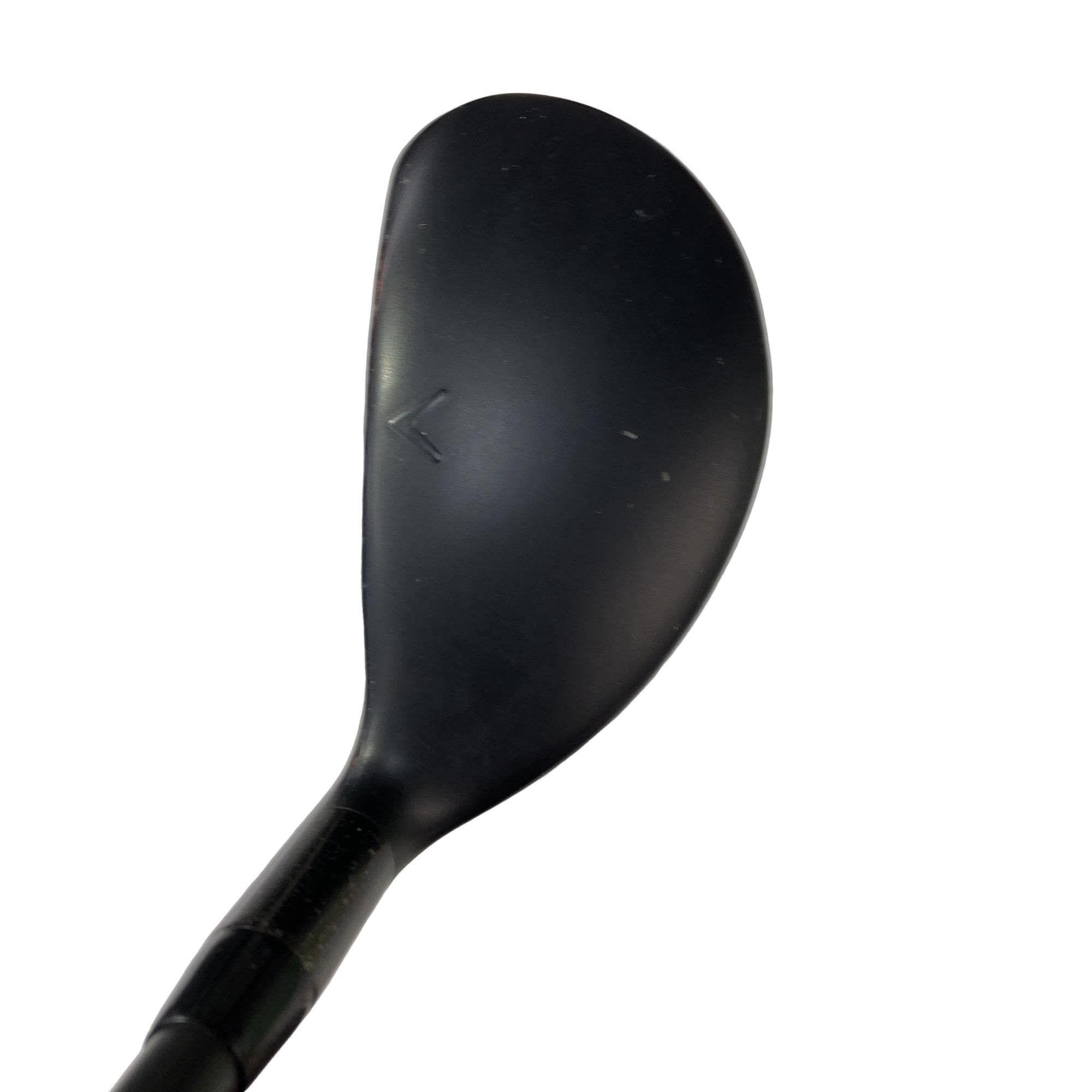 �w�q�@�P�U�@�n�r�@�t�S�@���f�B�[�X�@�t�r�`