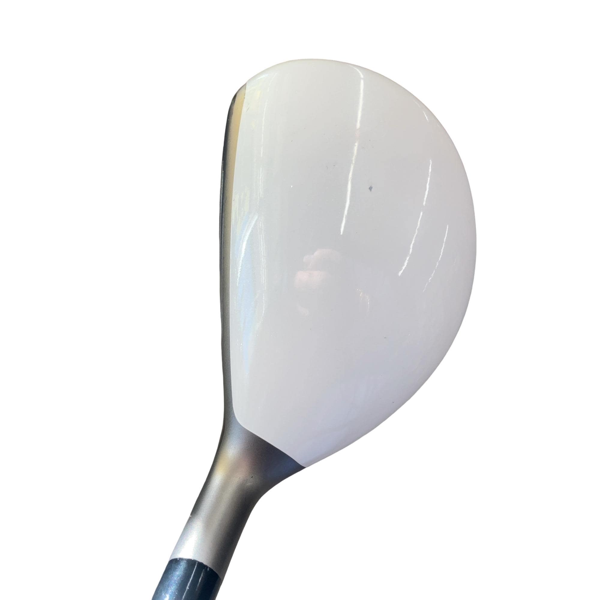 �a�q�|�w�@�t�T�@���f�B�[�X