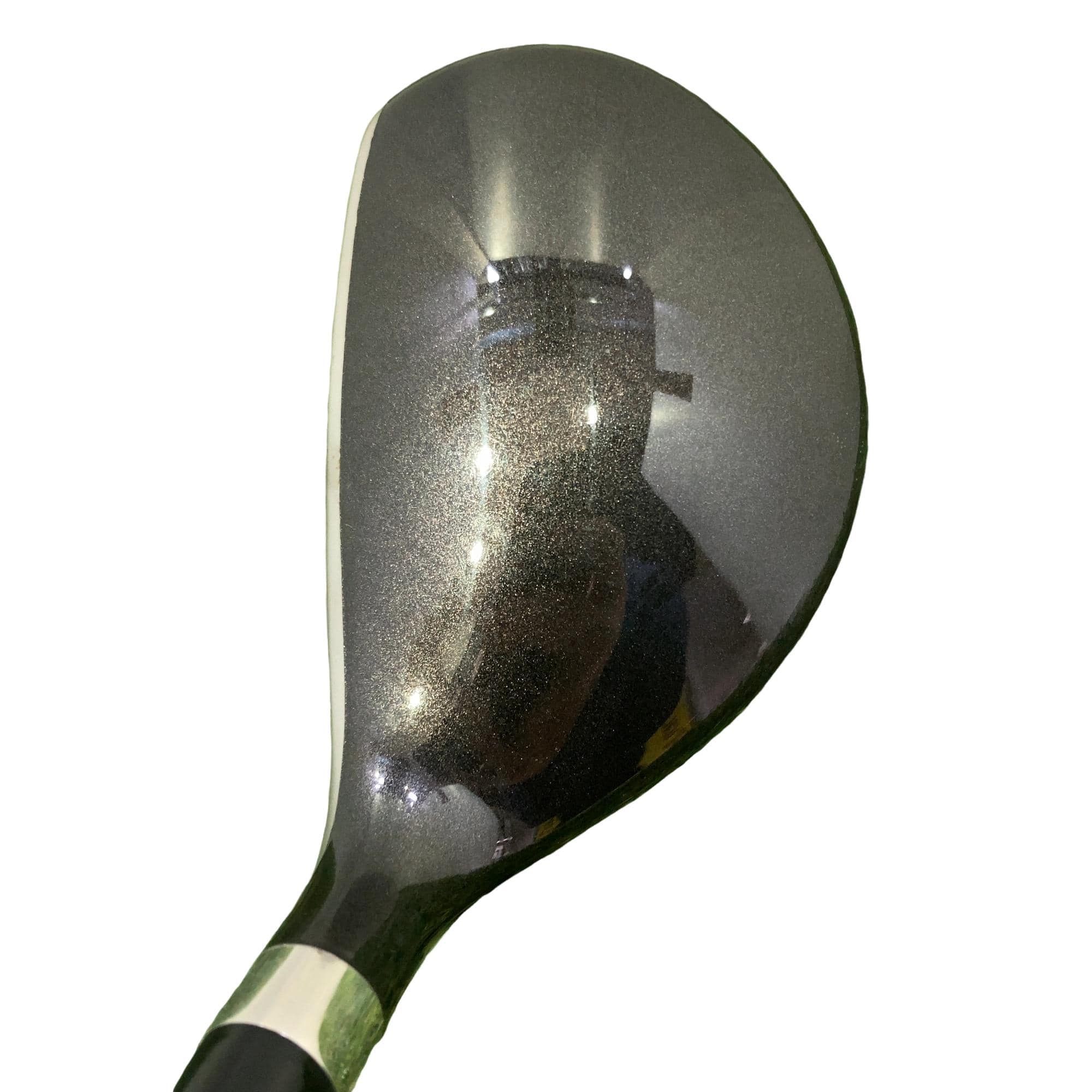 �u�q�Q�r�@���[�e�B���e�B�@�t�S