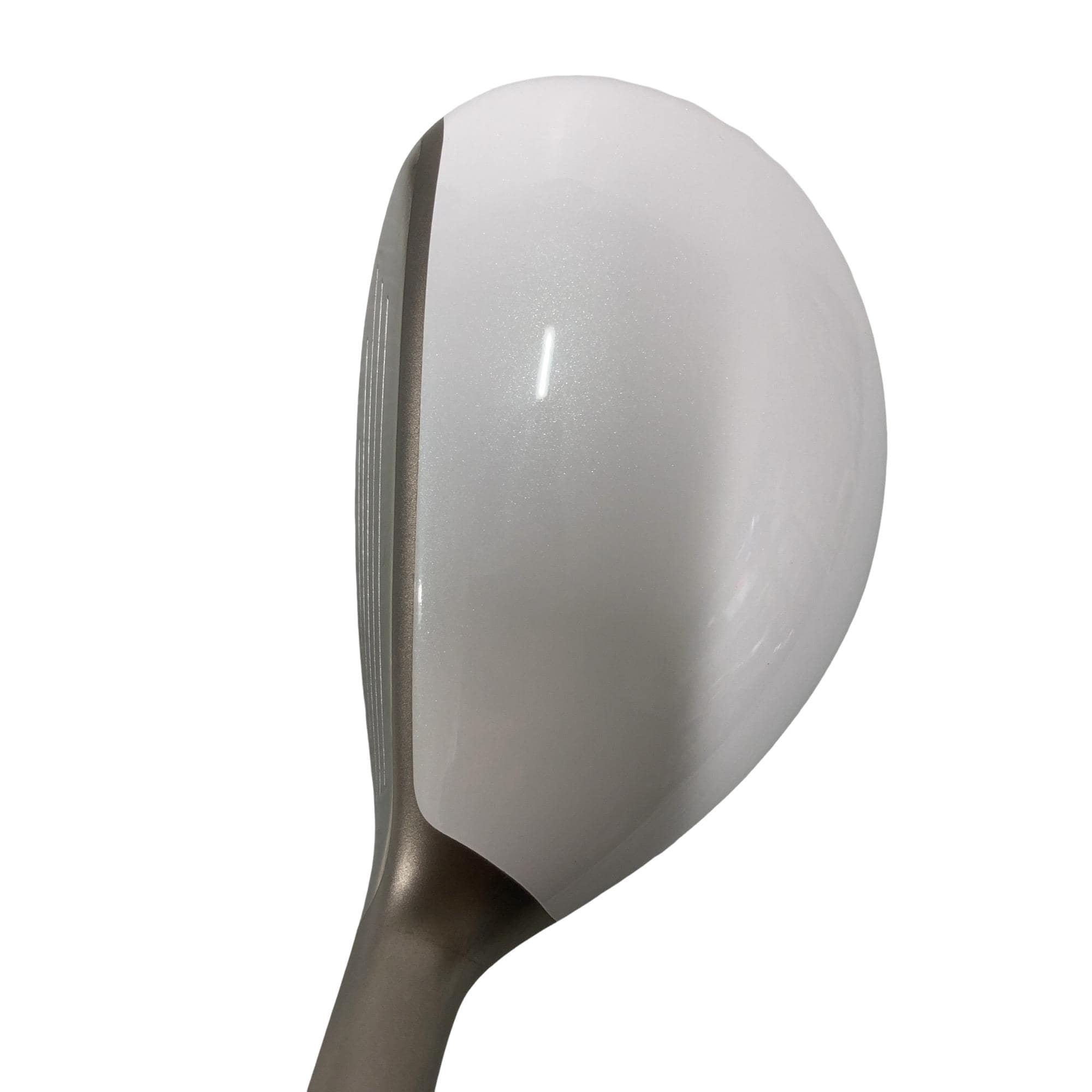 �a�q�|�w�@�t�T�@���f�B�[�X