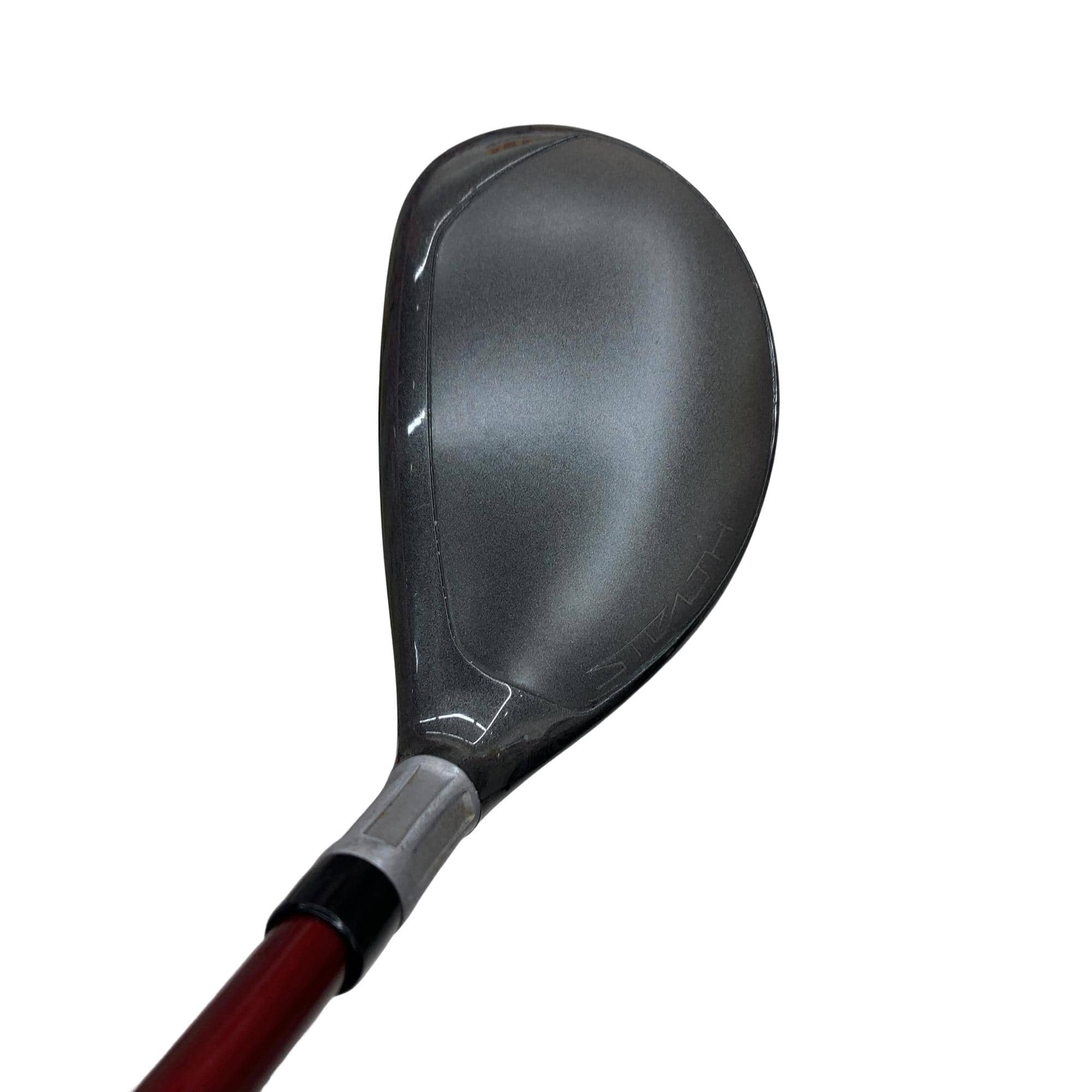 �r�s�d�`�k�s�g�@�t�T�@���f�B�[�X