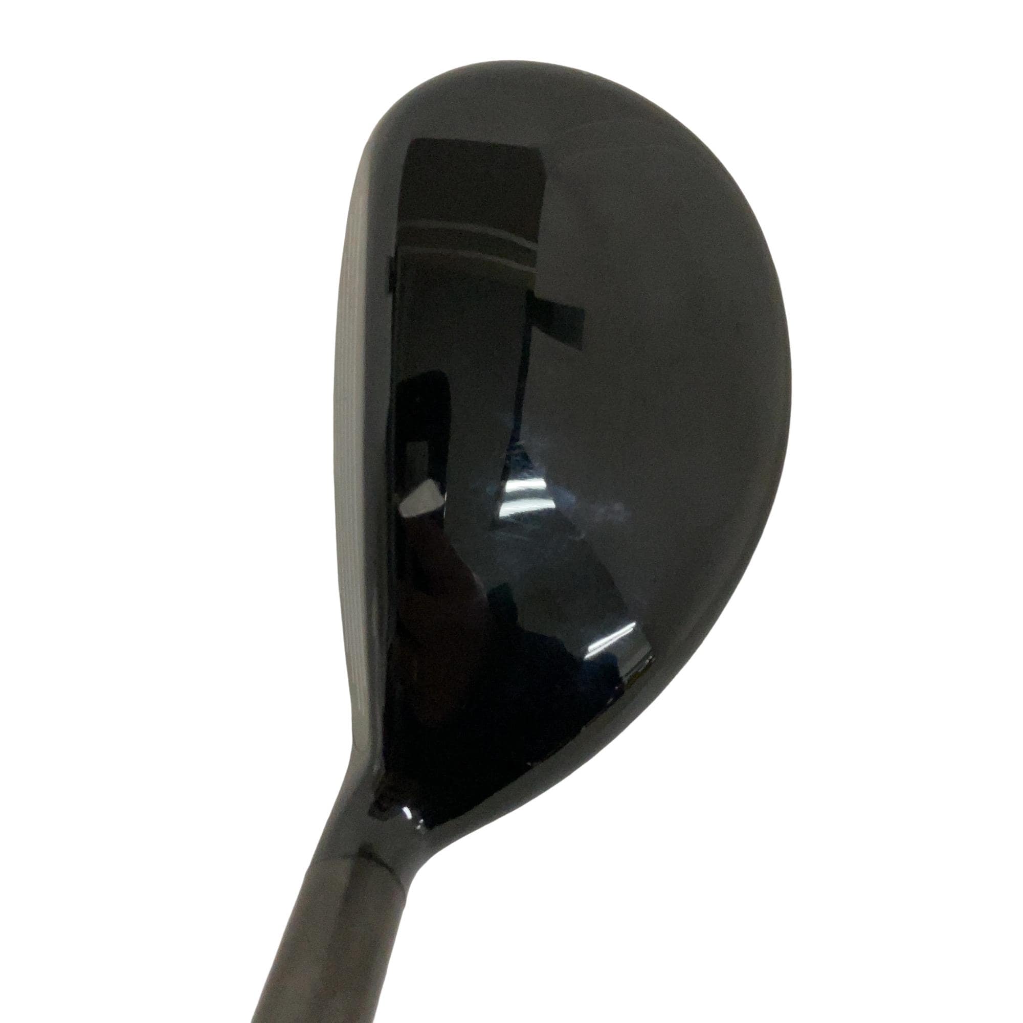 �w�@�g�n�s�@�t�T