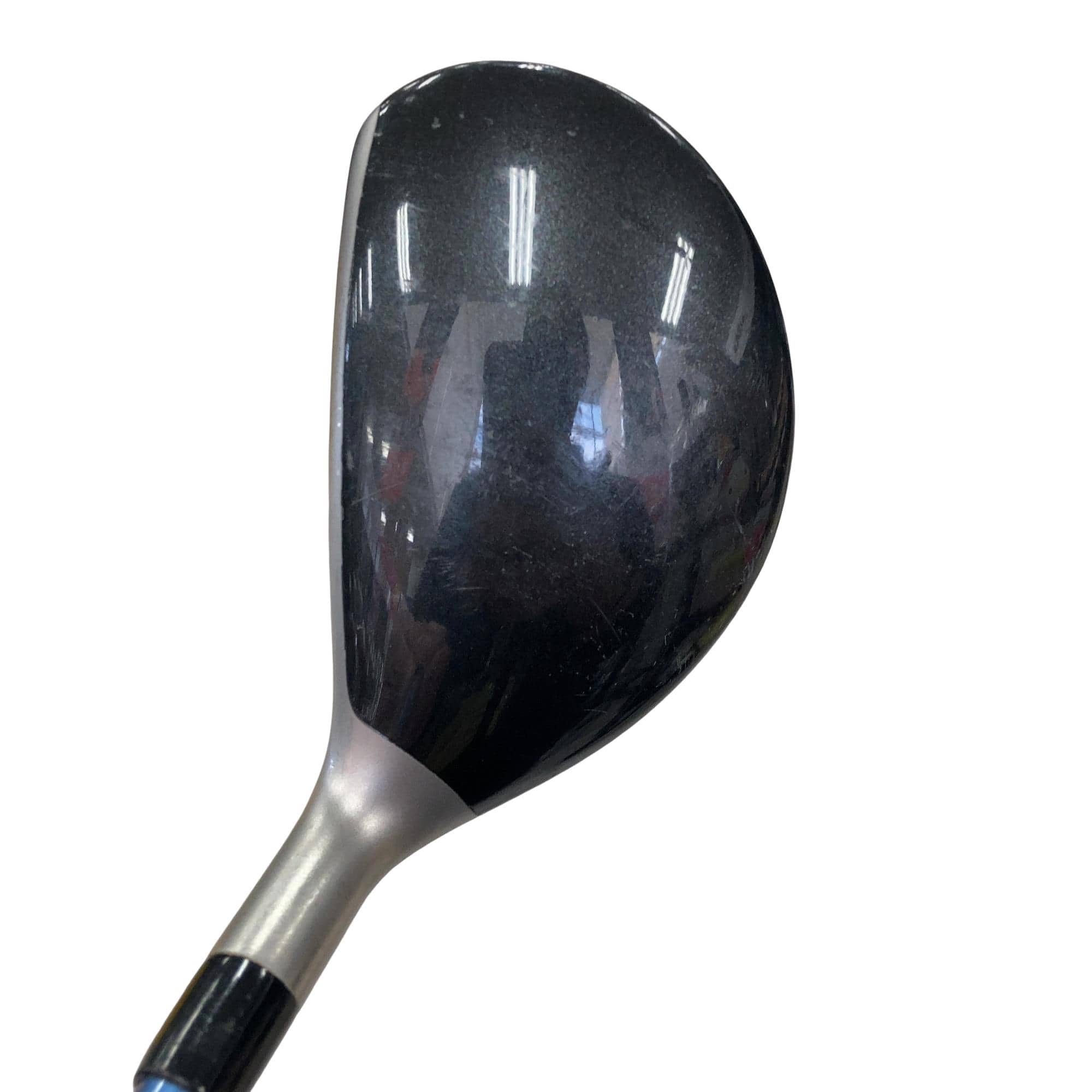 �a�q�|�w�@�_�[�N�O���[�@�t�T�@���f�B�[�X