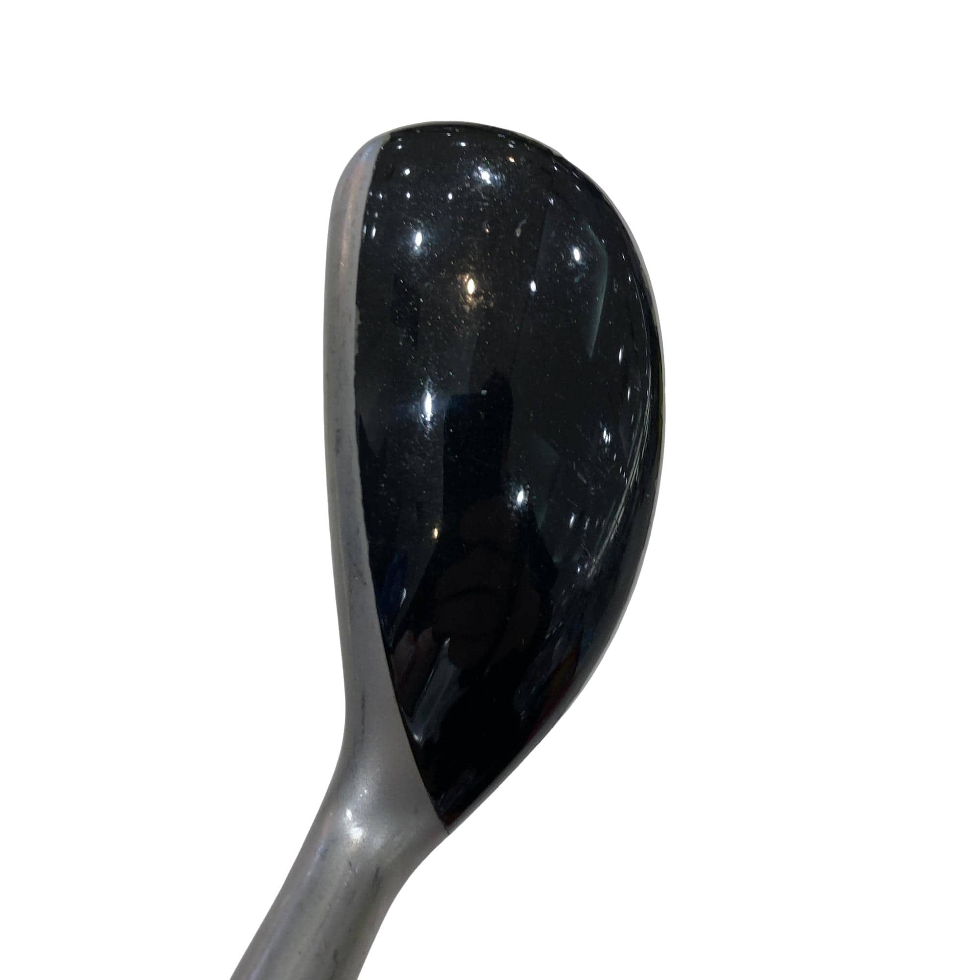 �u�q�@�o�q�n�@���[�e�B���e�B�@�t�Q