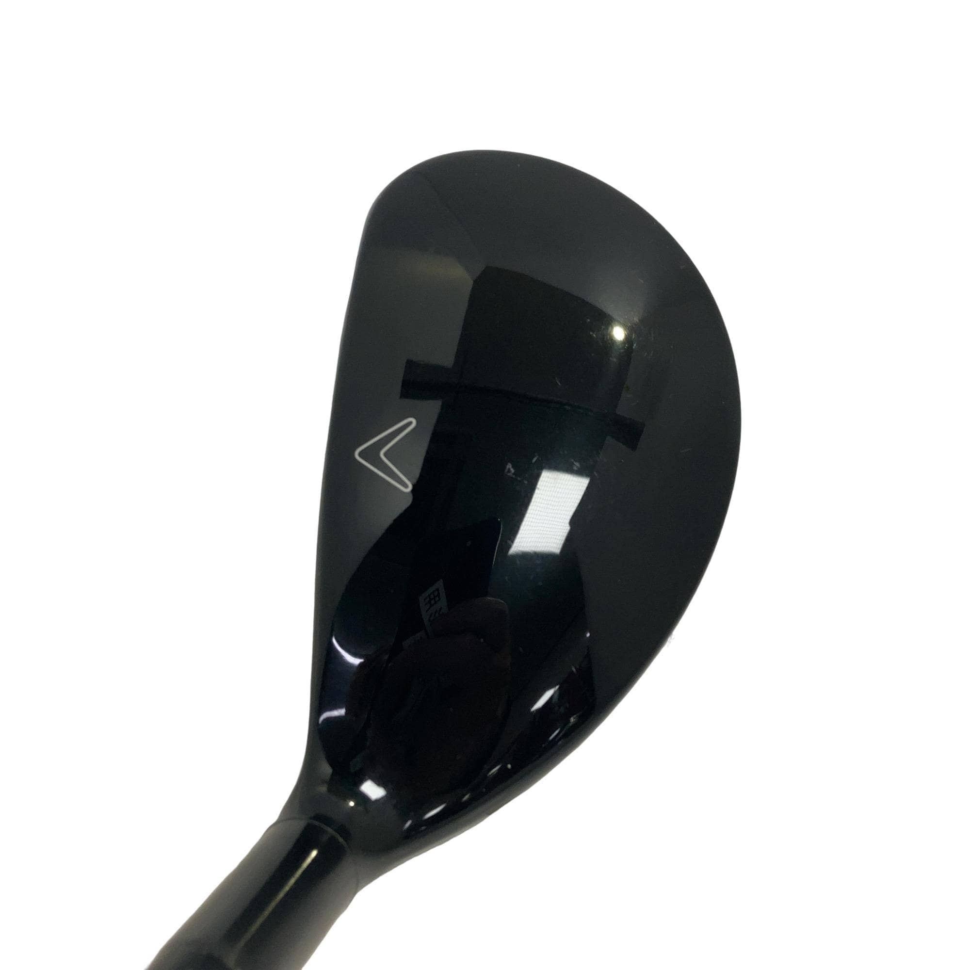 �w�Q�@�g�n�s�@�t�R