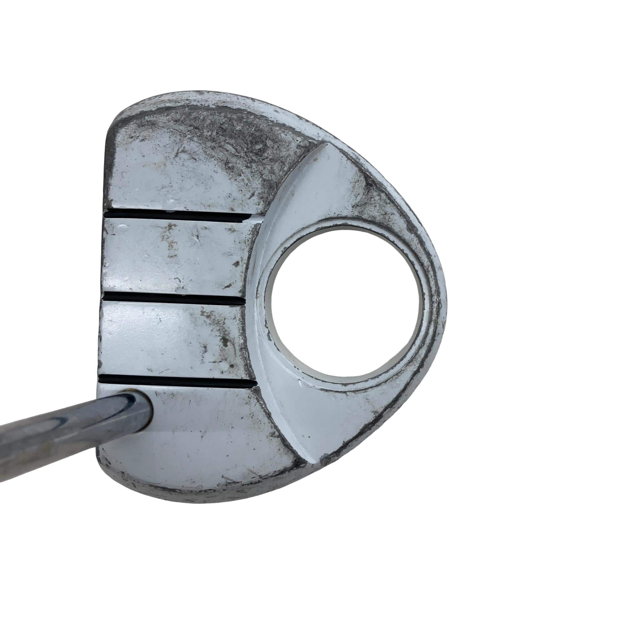 �q���������@�f�g�n�r�s�@���������{�@�b�n�q�y�`�@�R�T�C���`