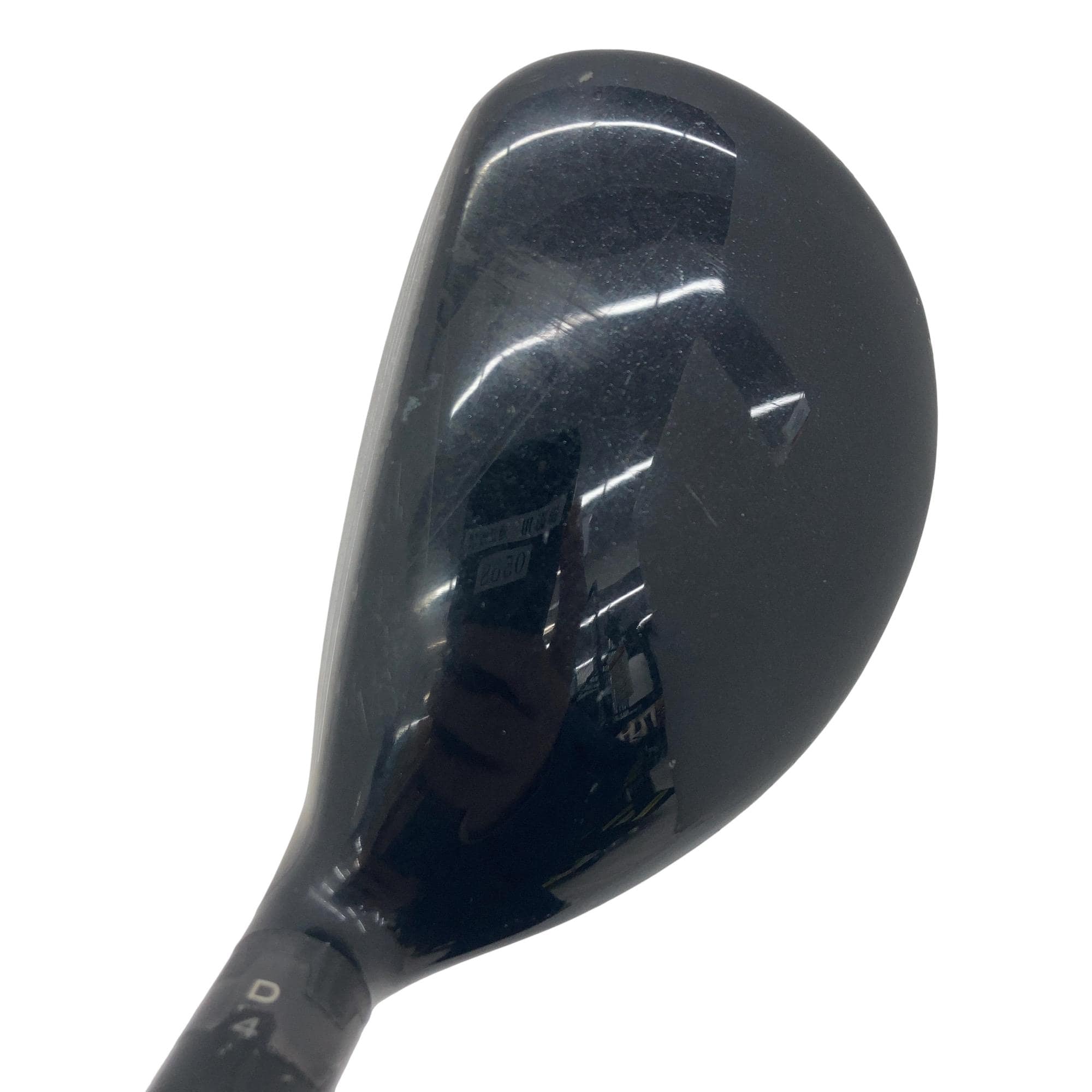 �X�P�T�@�g�@�t�S