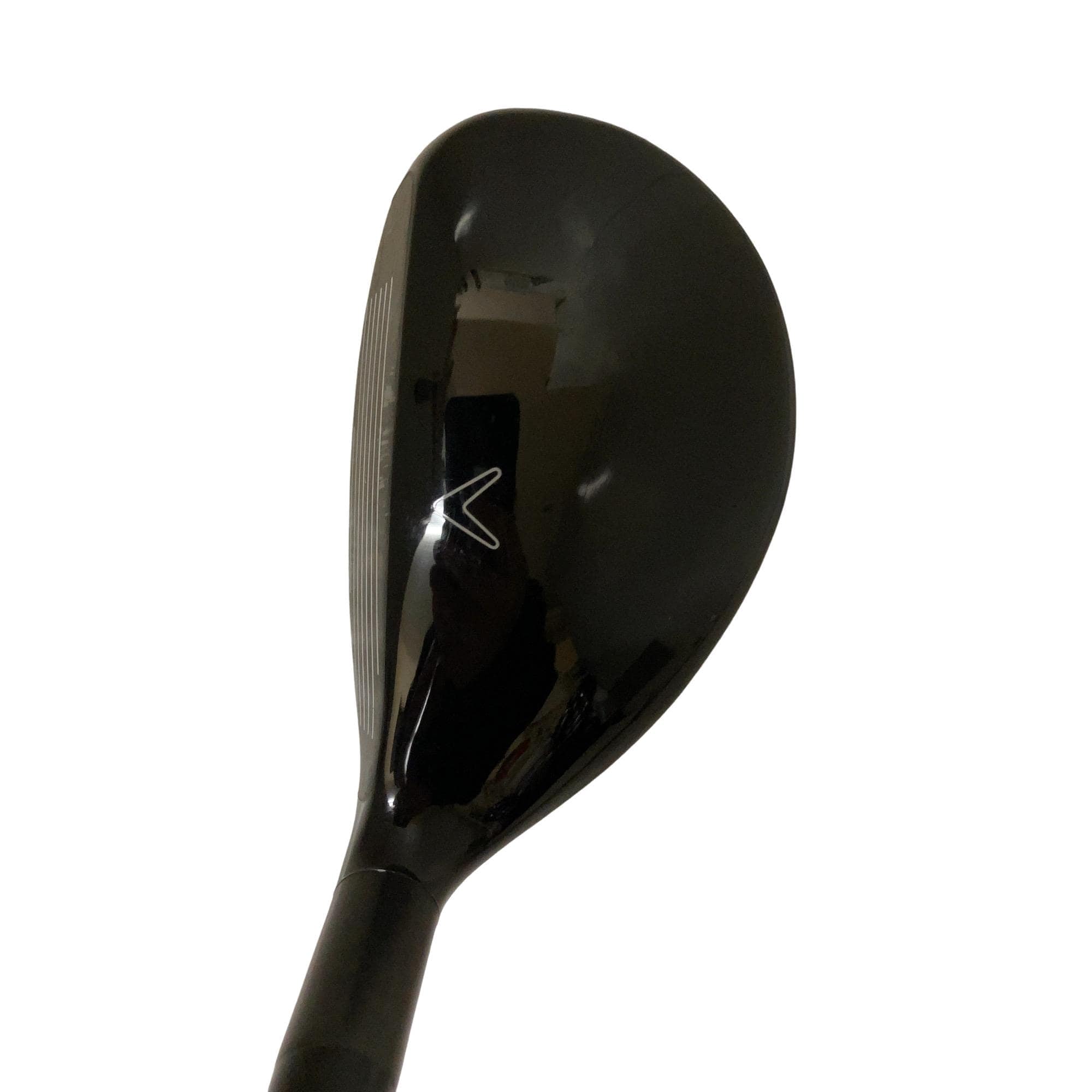 �w�Q�@�g�n�s�@�t�T