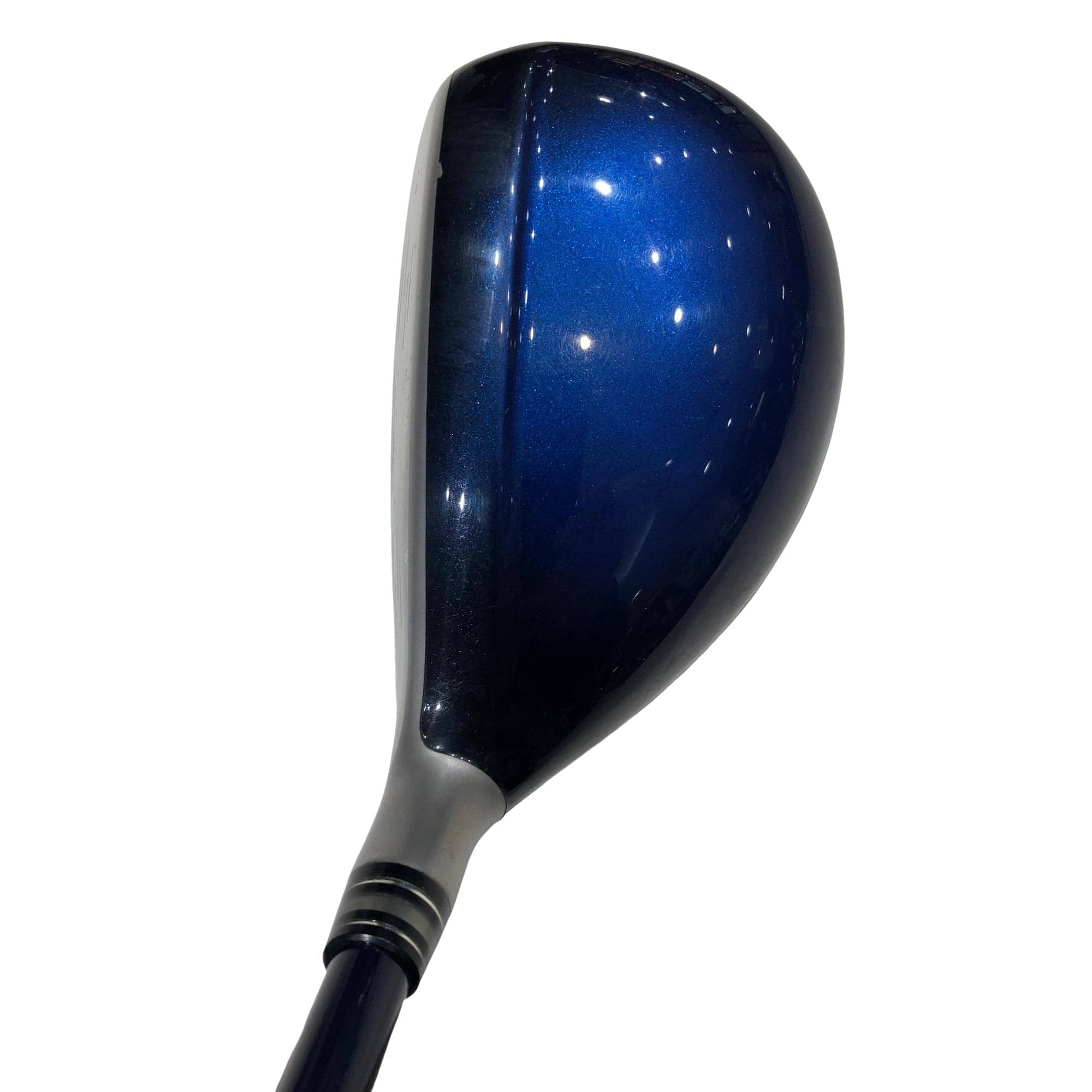 �w�w�h�n�i�Q�O�P�W�j�@�g�T