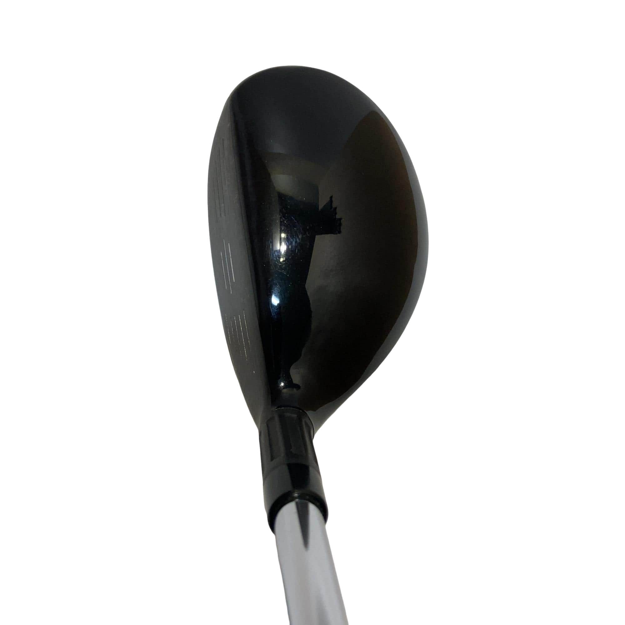 �l�Q�@�t�R