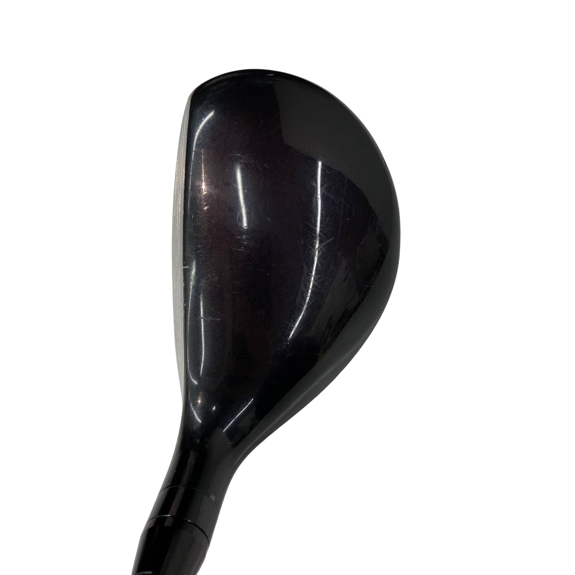 �������������@�q�l�w�@�t�T�{�@���f�B�[�X