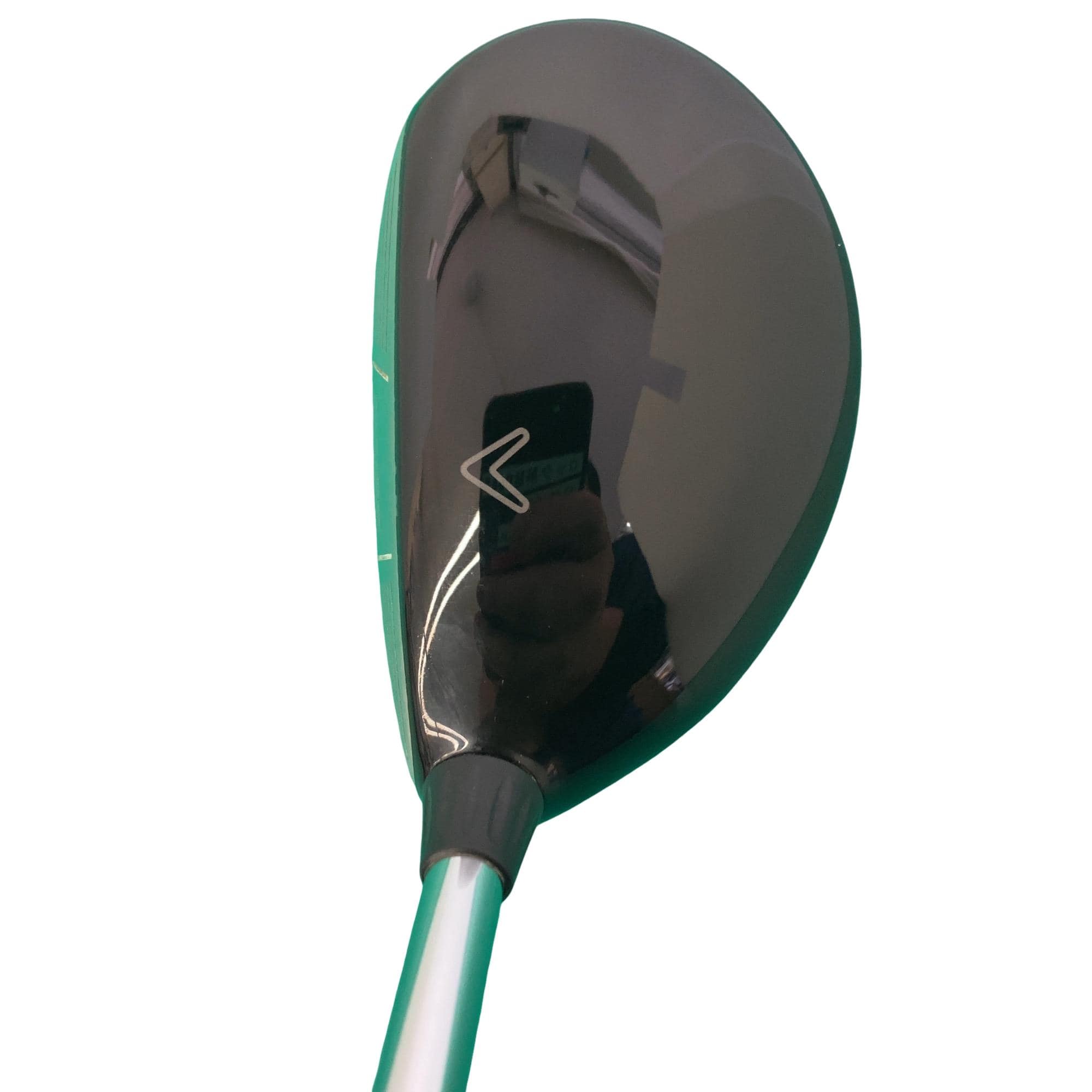 �w�@���[�e�B���e�B�@�R�g�@�t�r�`