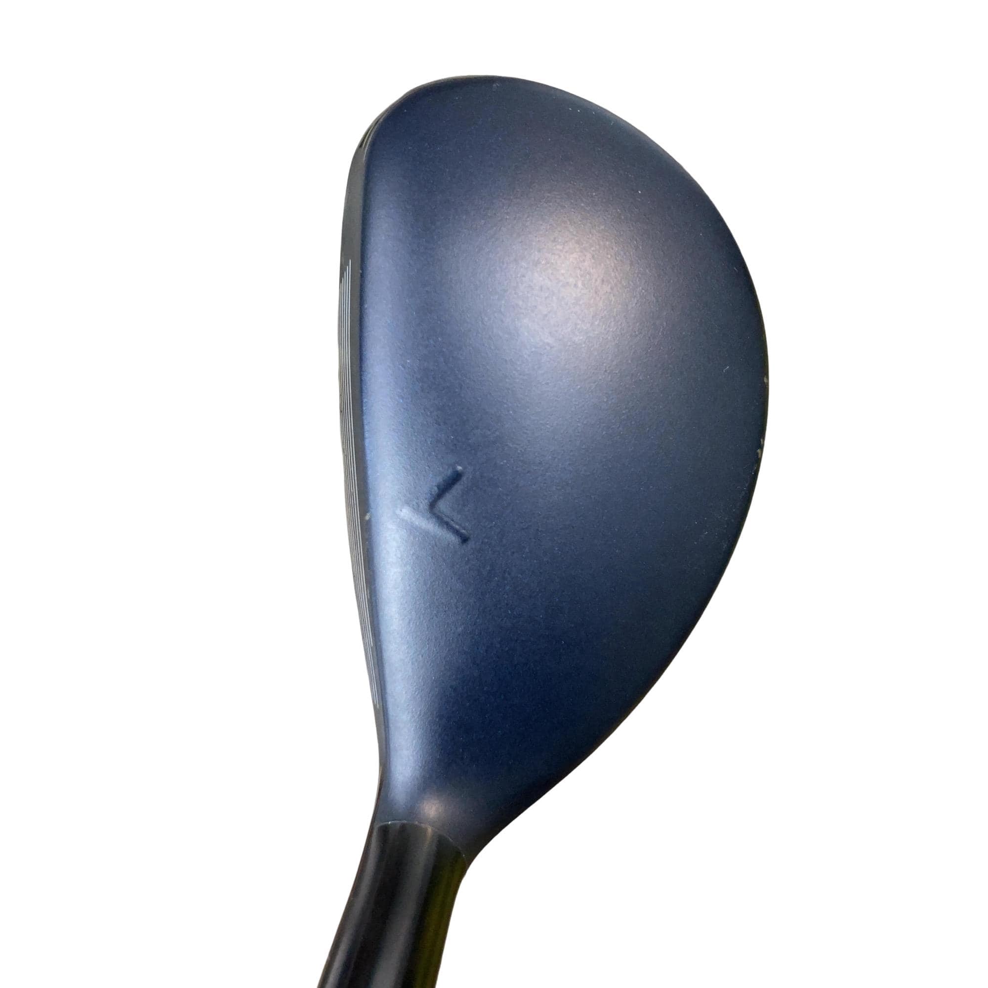 �w�q�@�t�T