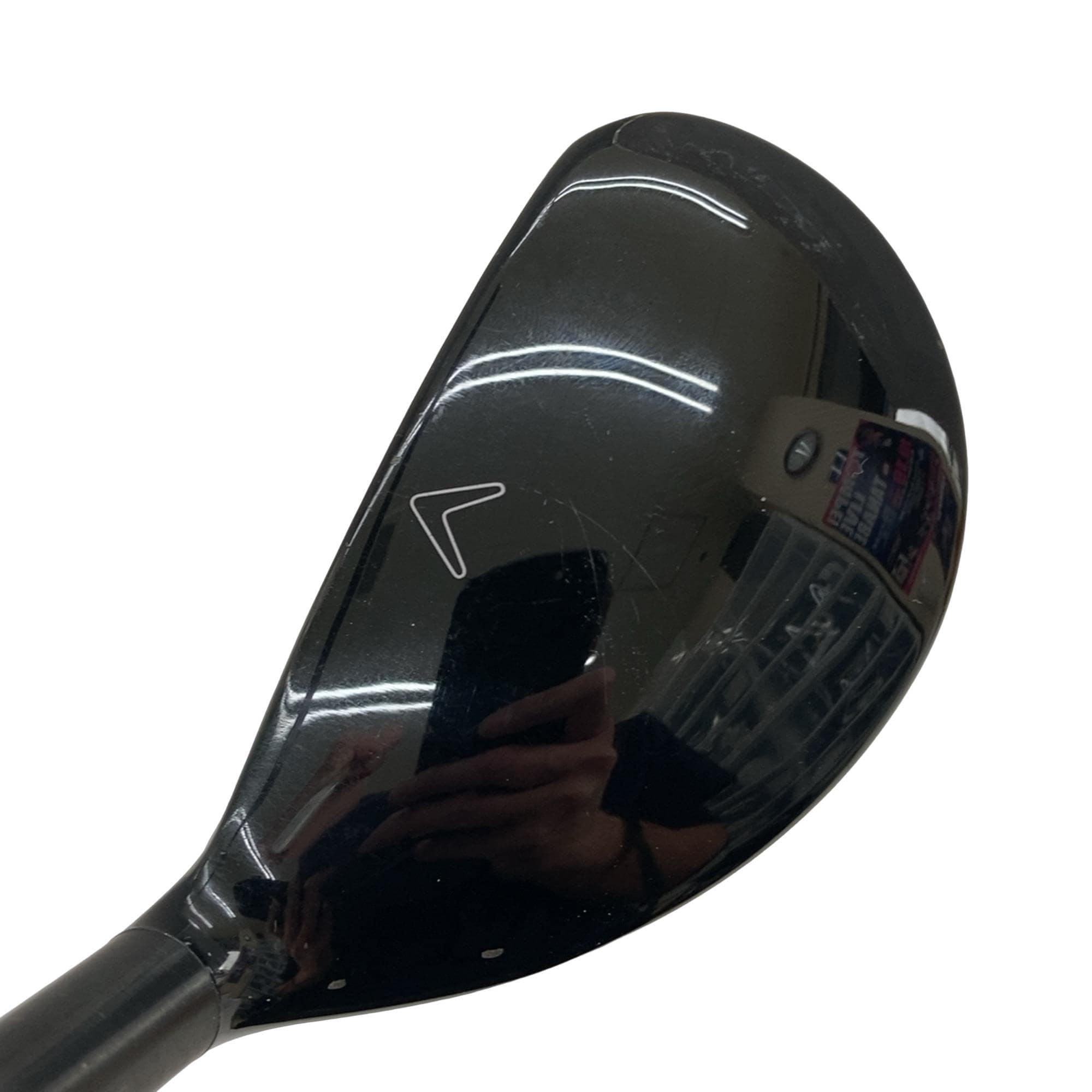 �w�Q�@�g�n�s�@�t�R