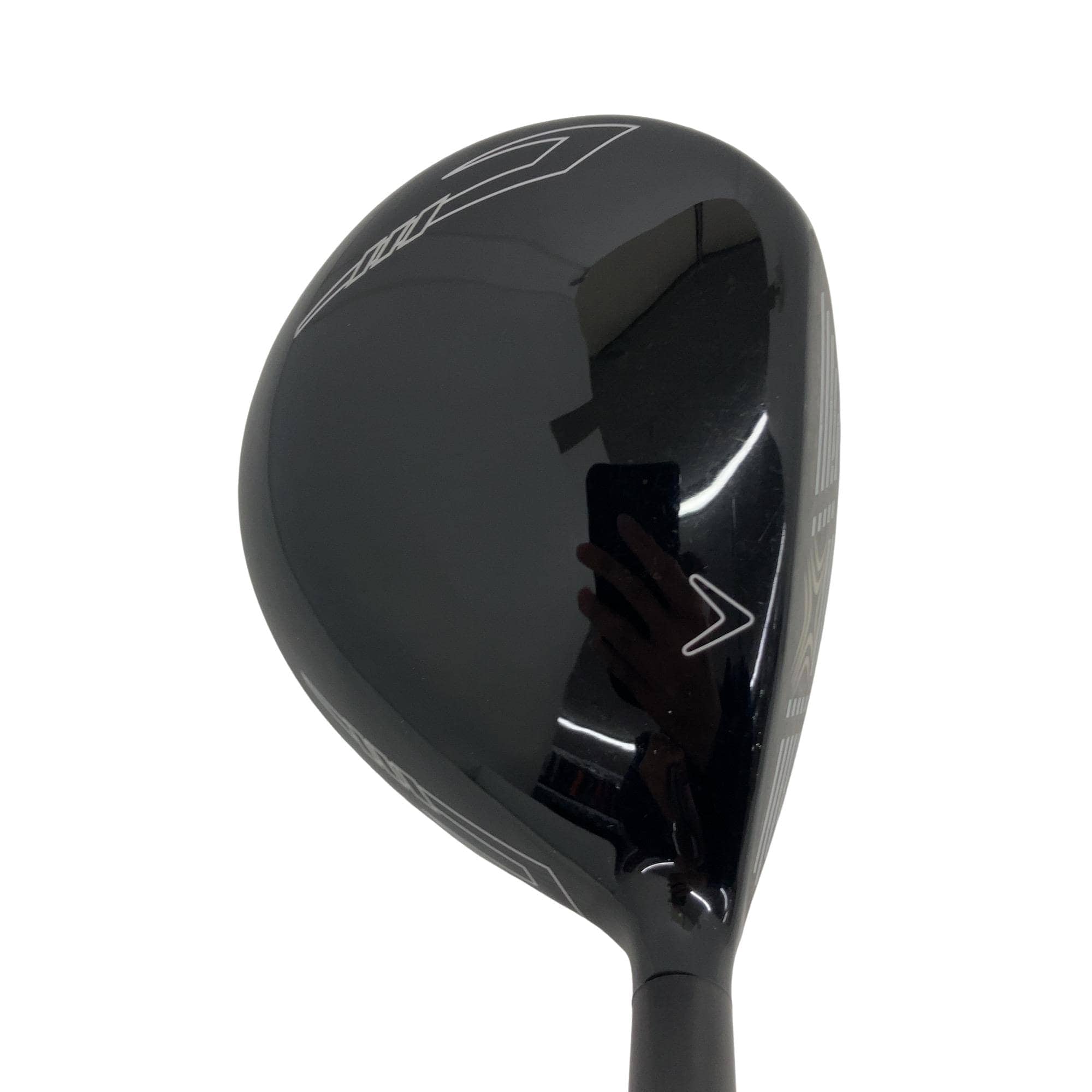 �w�Q�@�g�n�s�@�@�T�v�@���t�e�B