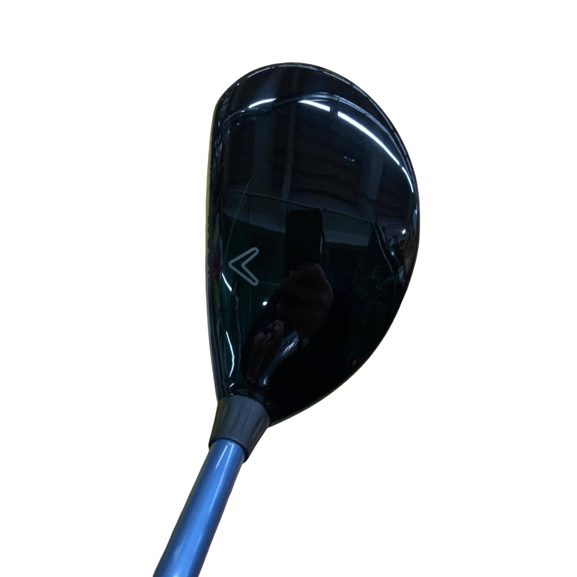 �w�@���[�e�B���e�B�@�S�g�i�Q�S°�j�@���f�B�[�X