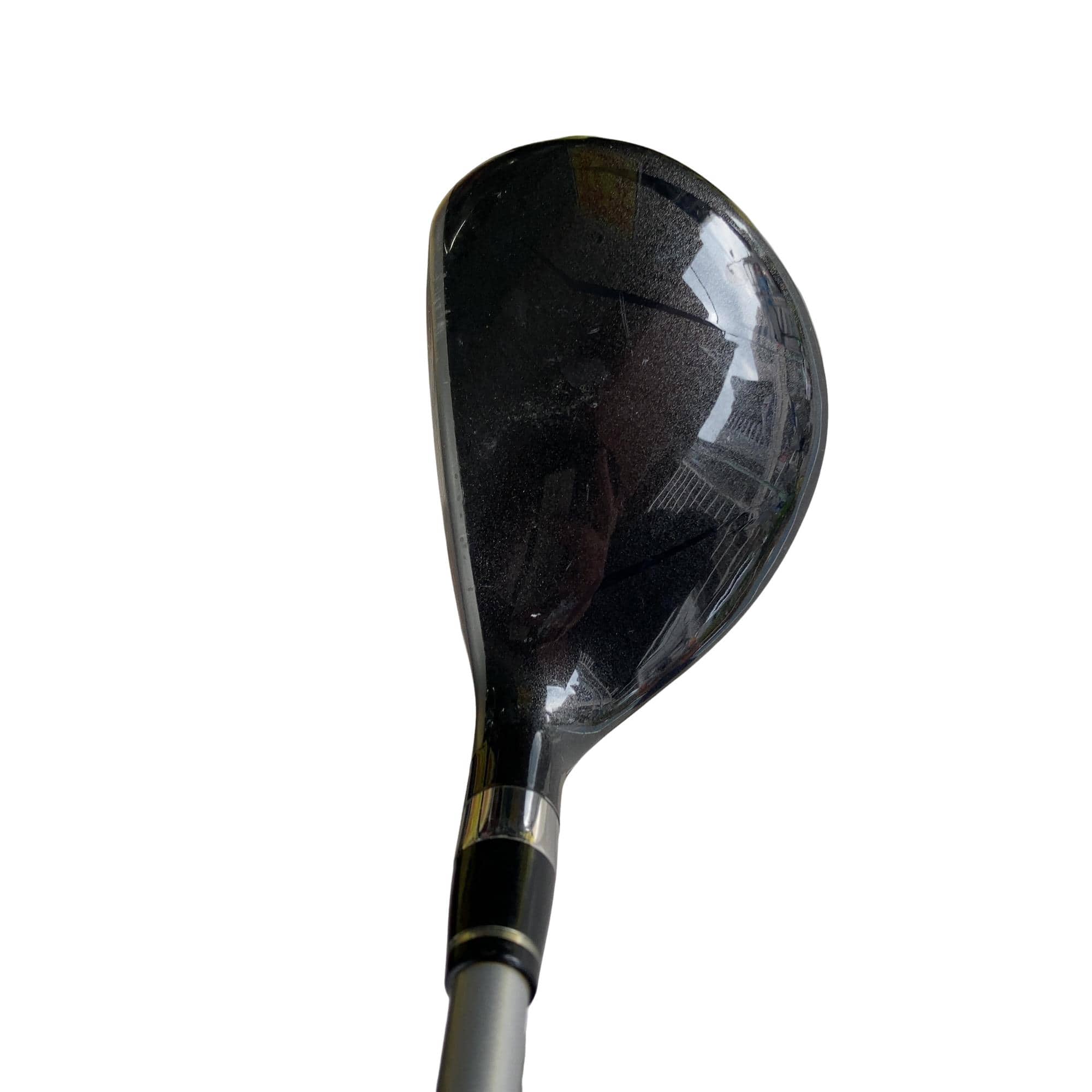 �u�q�Q�r�@���[�e�B���e�B�@�t�Q�@�t�r�`