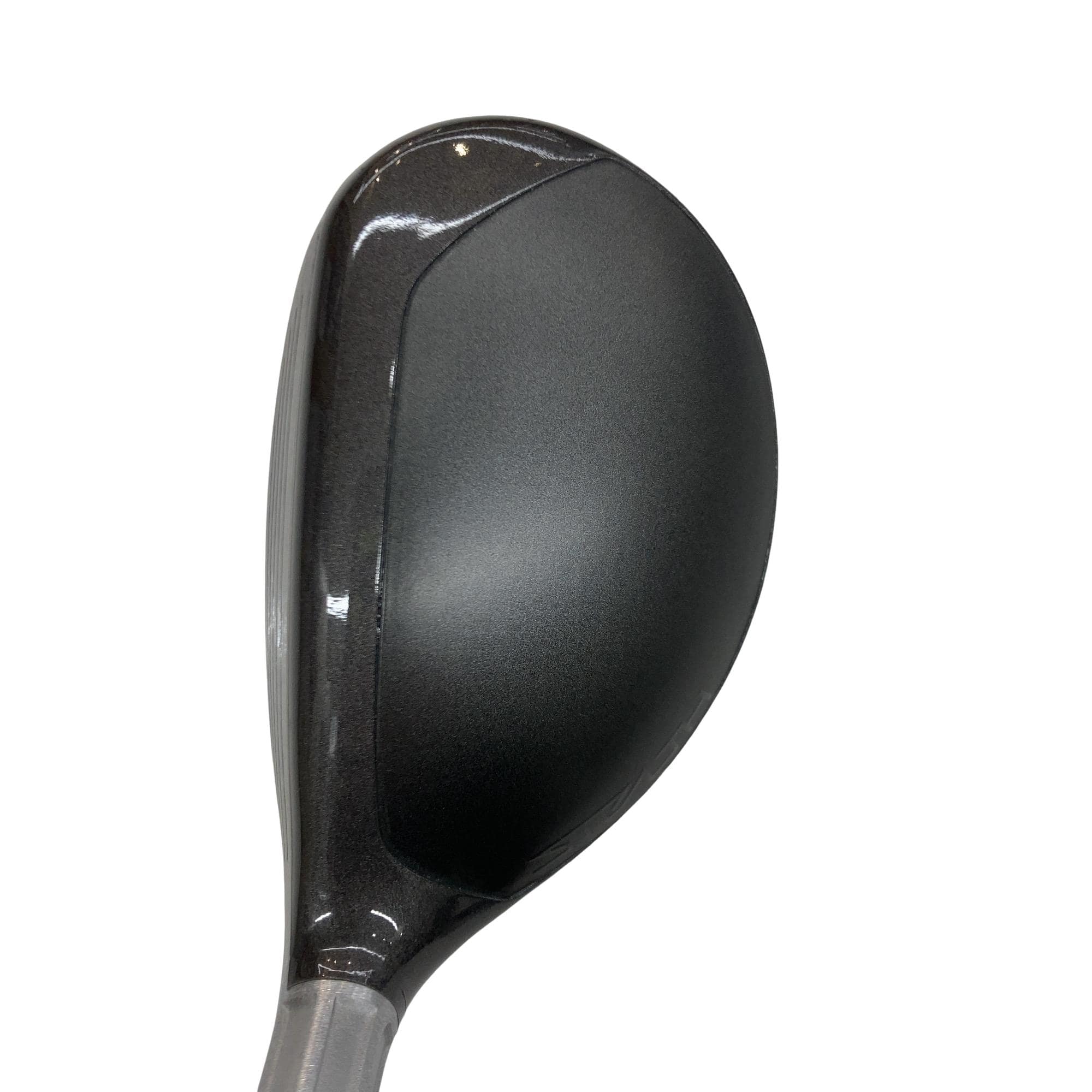 �r�s�d�`�k�s�g�@�t�S�@���f�B�[�X