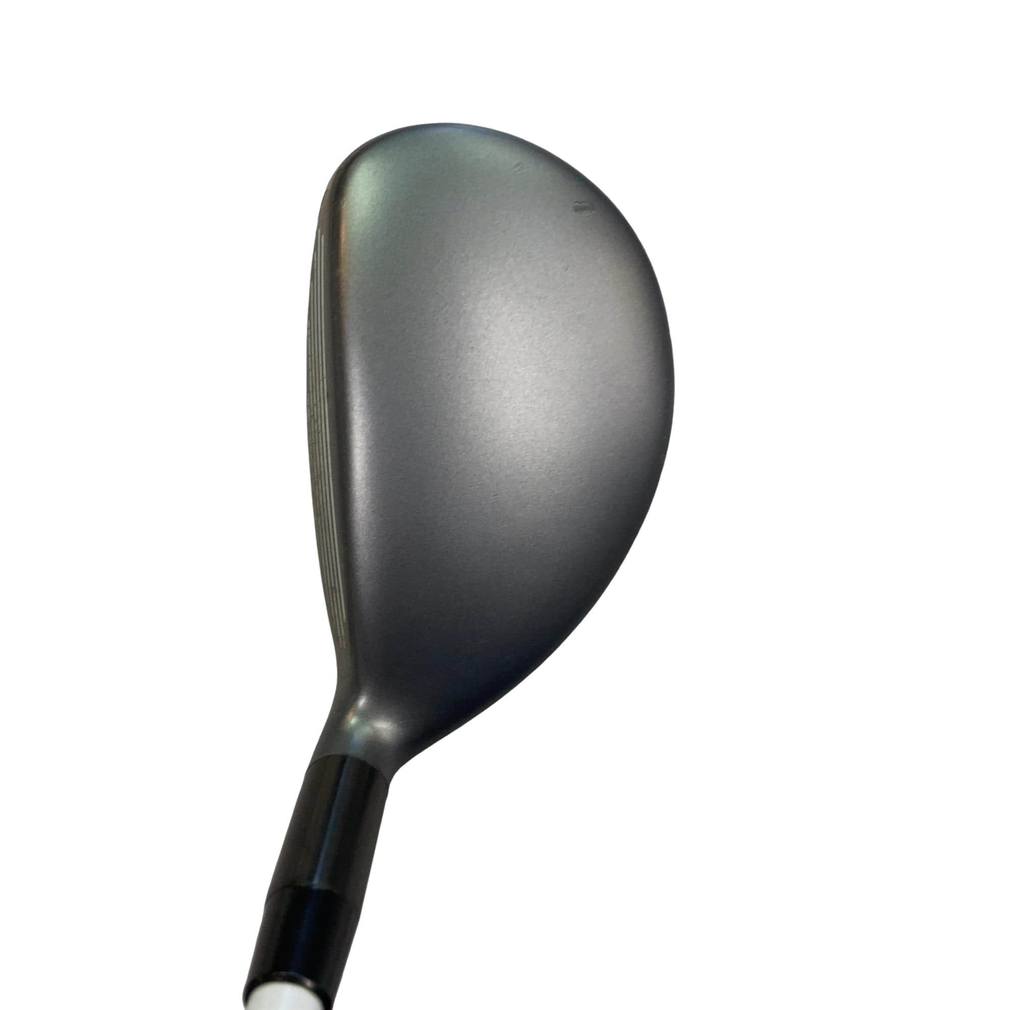 �w�@�g�n�s�@�t�T�@�t�r�`