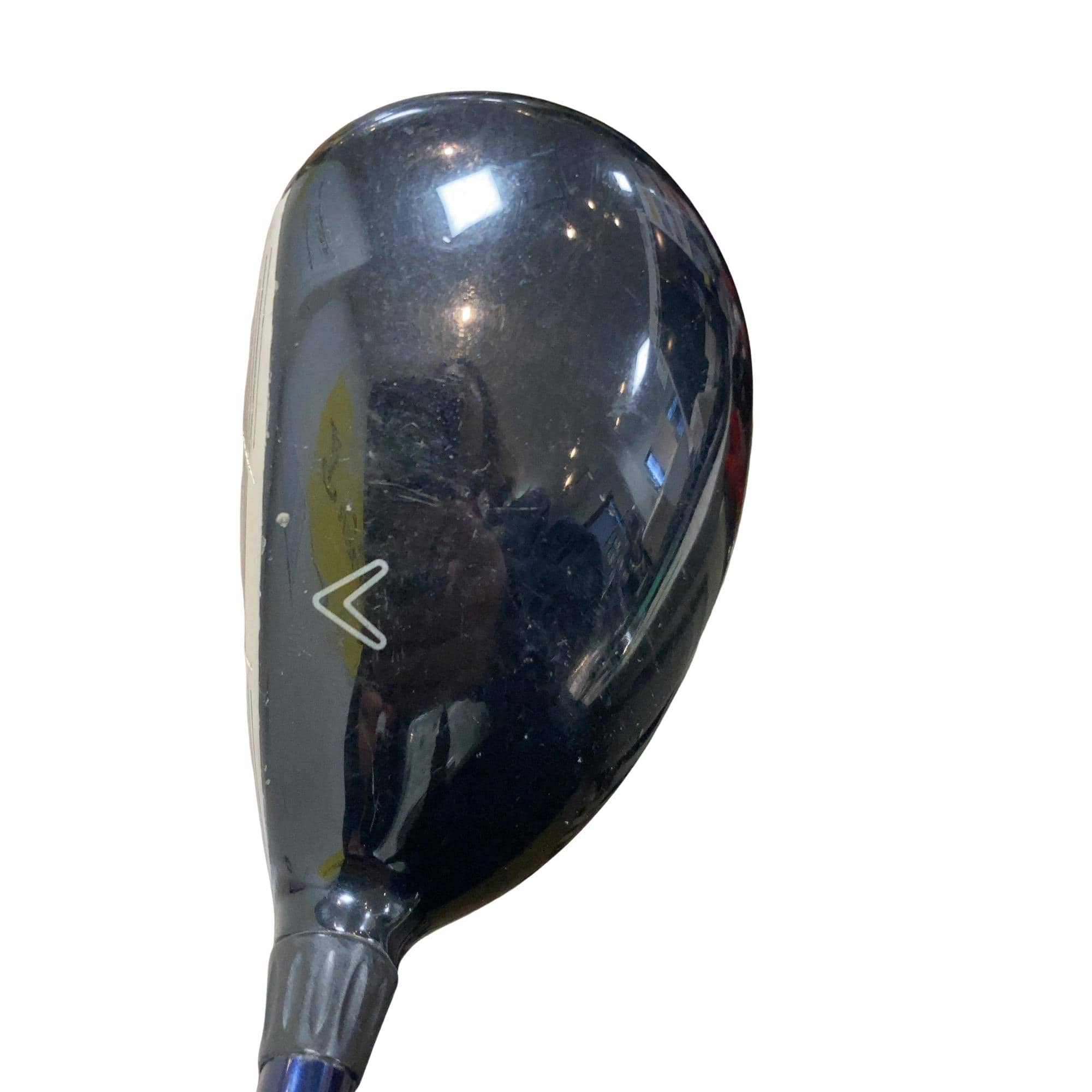 �w�@�c�q�r�@���[�e�B���e�B�@�R�g�i�Q�P°�j