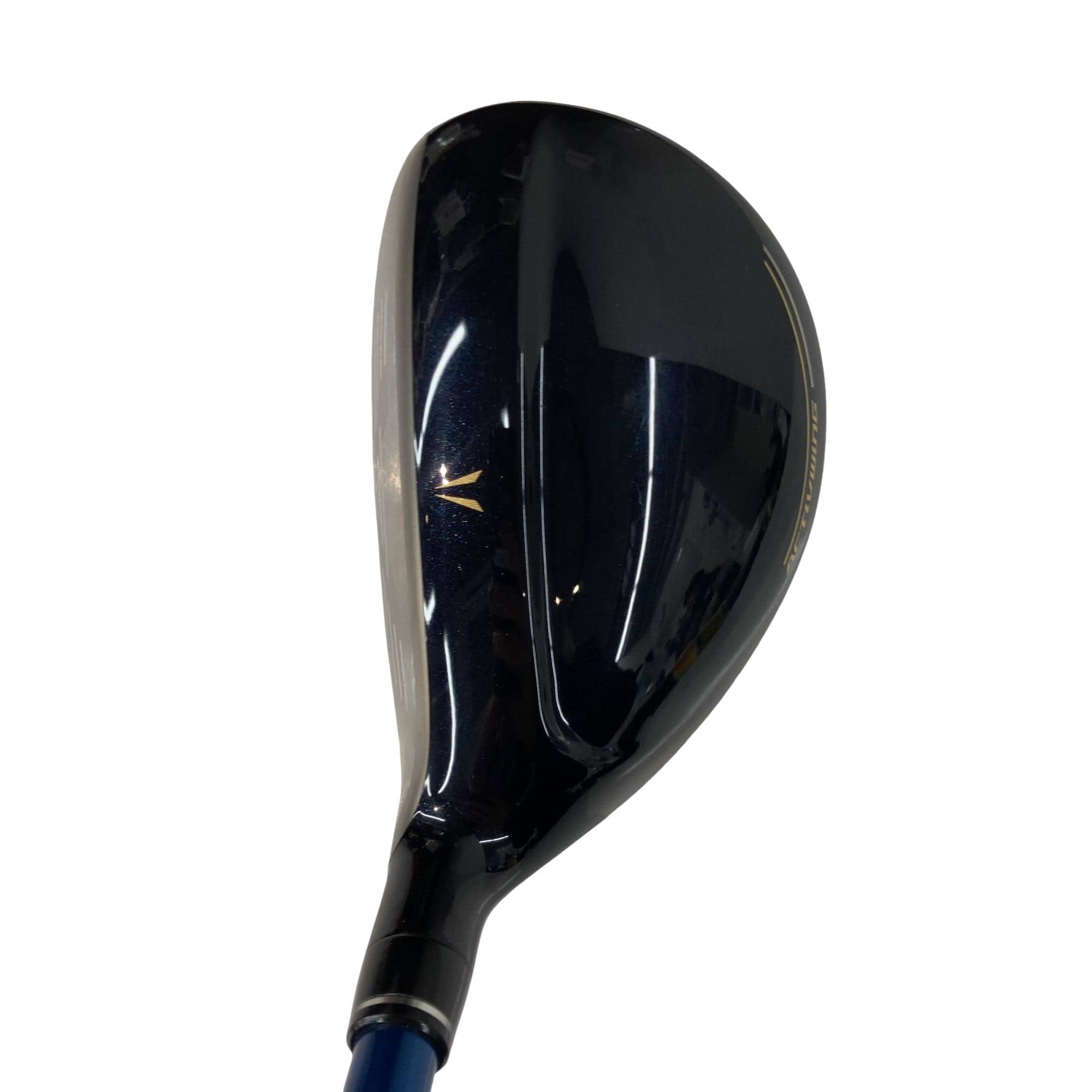 �w�w�h�n�i�Q�O�Q�S�j�@�g�T