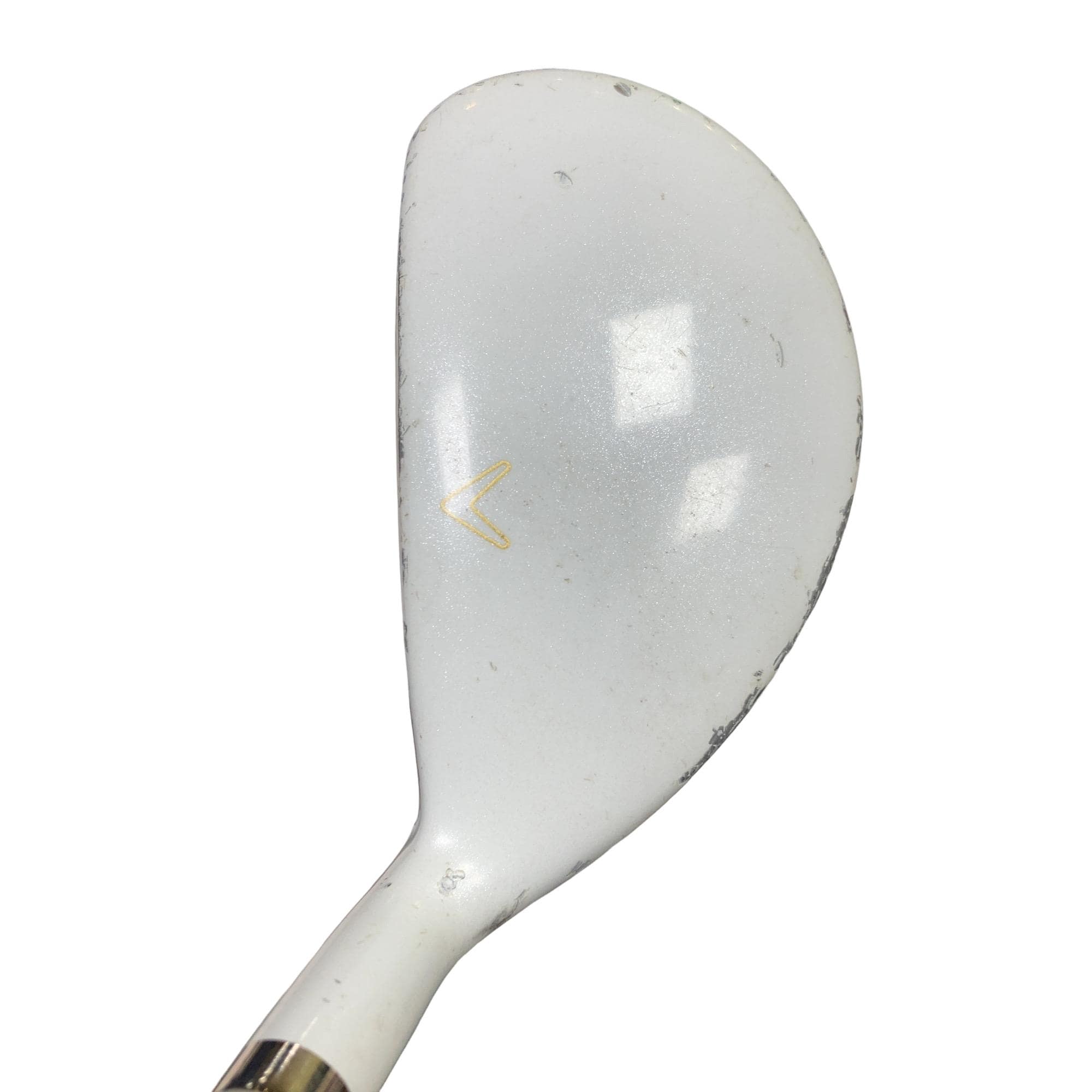 �����������i�Q�O�P�T�j�@�T�g�@���f�B�[�X