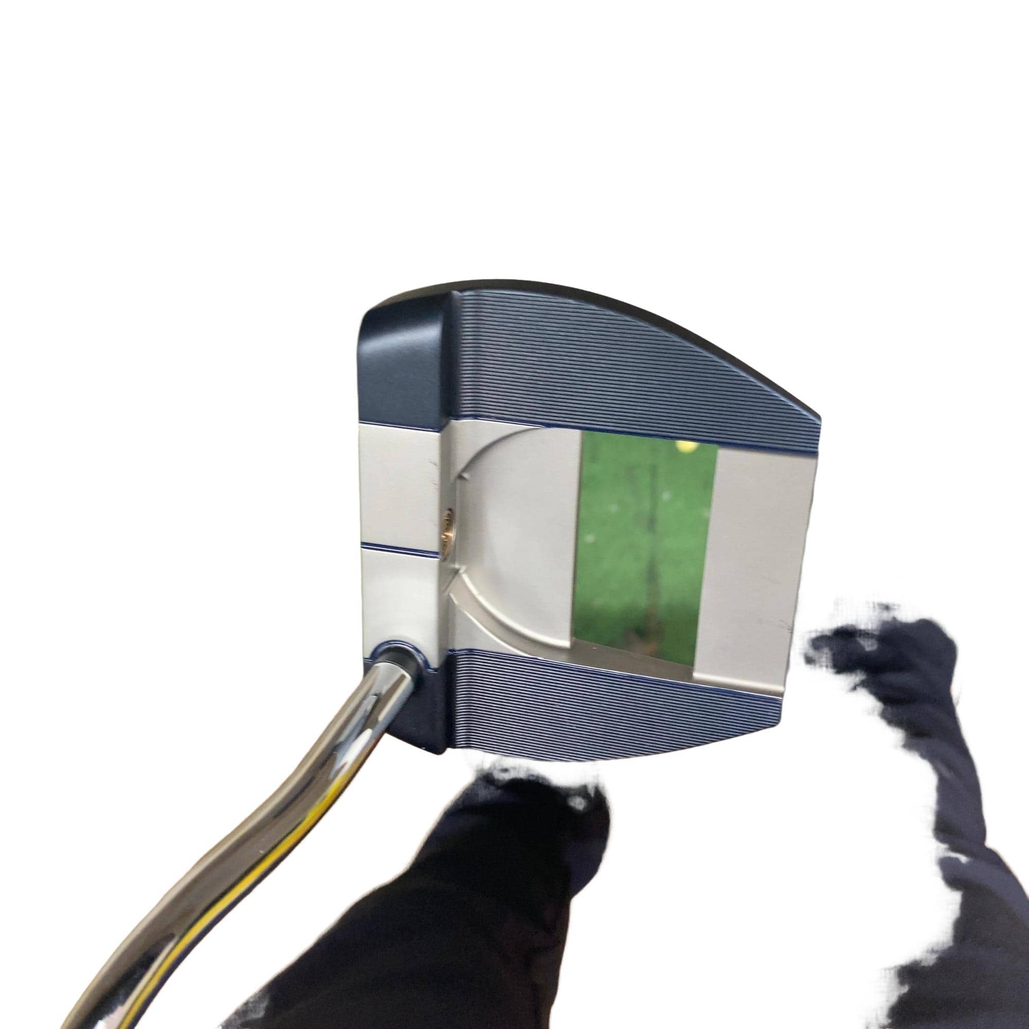 �`���|�n�m�d�E�l�h�k�k�d�c�@�i�`�h�k�a�h�q�c�@�l�h�m�h�@�s�@�c�a�@�R�S�C���`