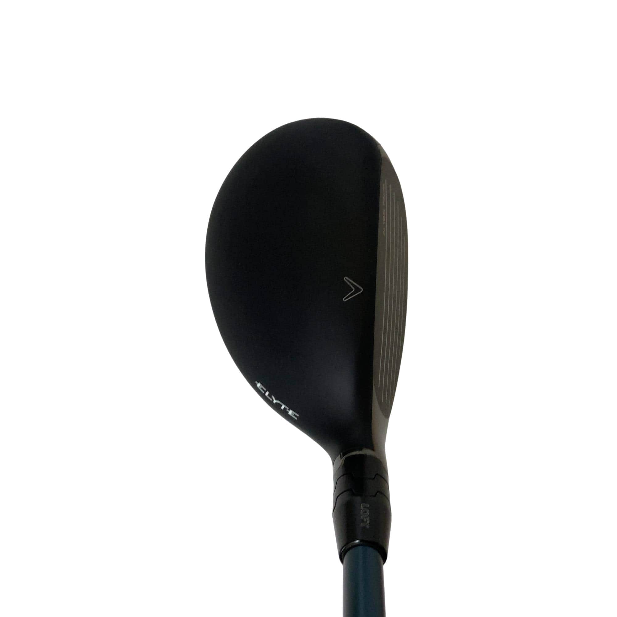 �d�k�x�s�d�@�t�T�@���t�e�B