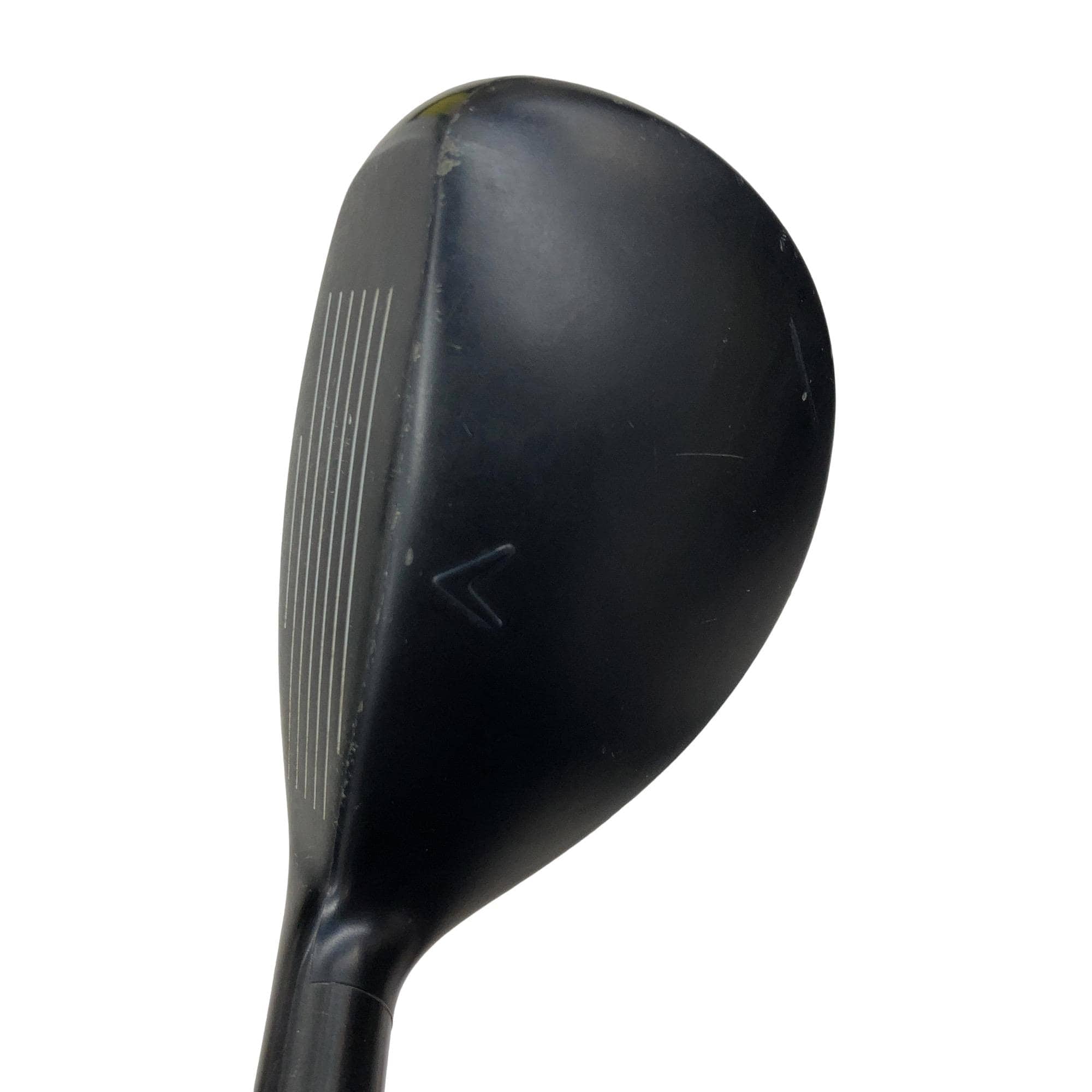 �w�q�@�P�U�@�n�r�@�t�T