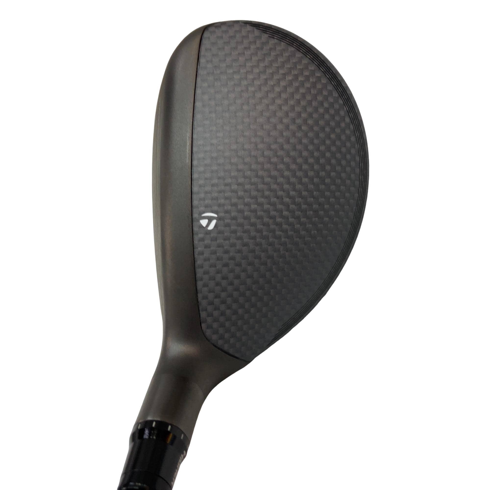 �p���R�T�@�t�T