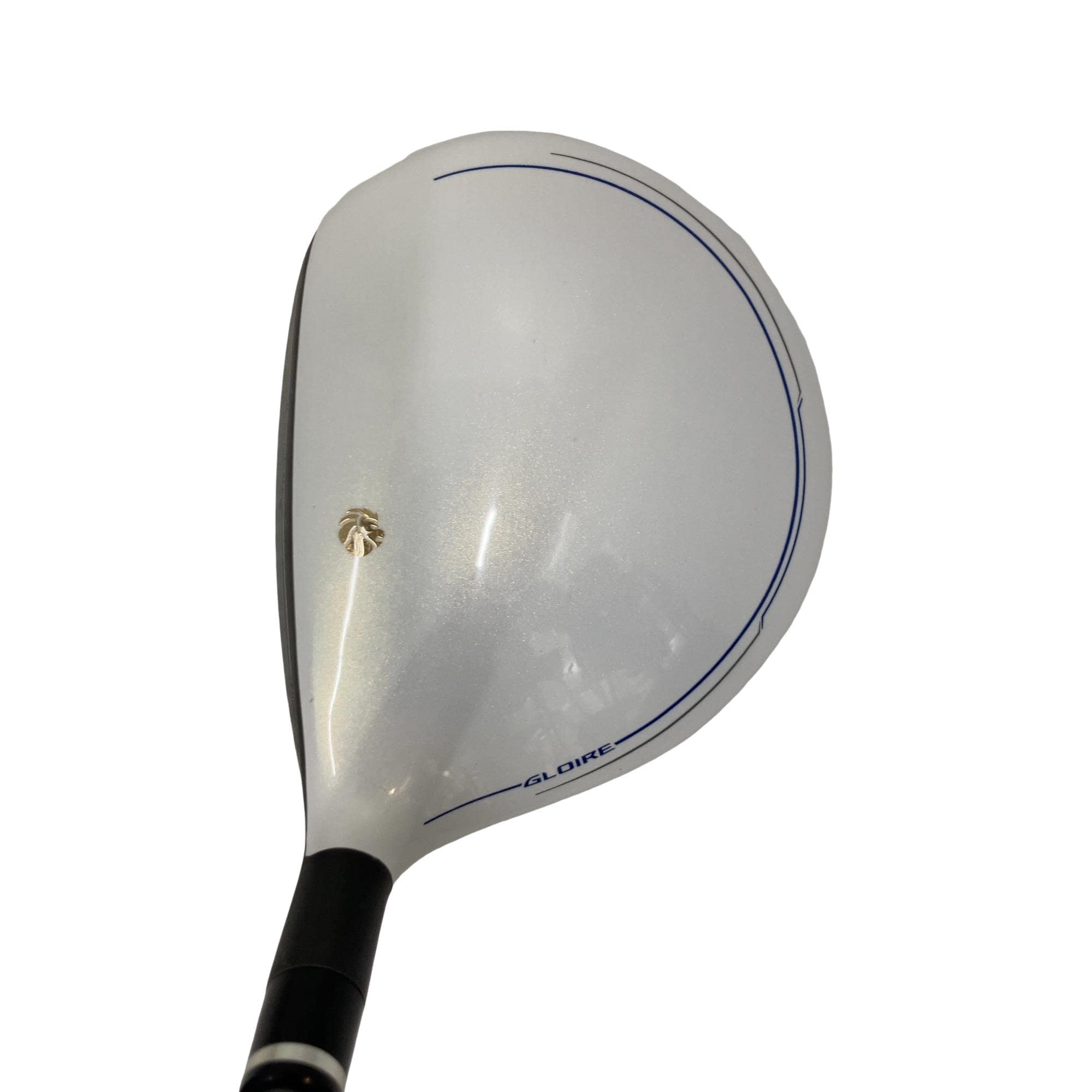 �f�k�n�h�q�d�@�e�i�Q�O�P�U�j�@�T�v