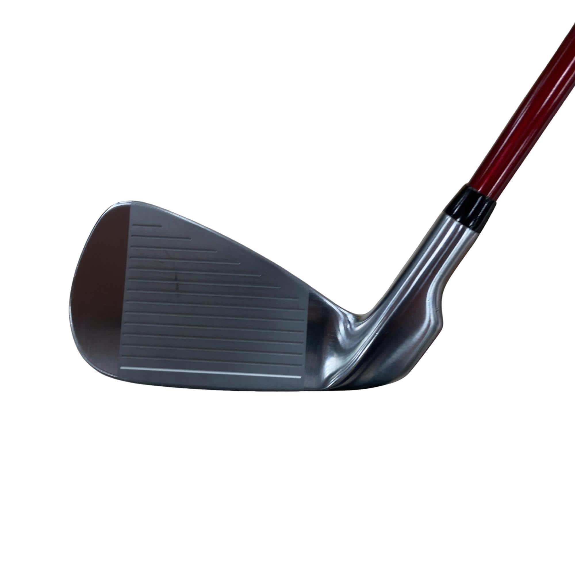 �q�l�w�@�u�c�S�O�@���T