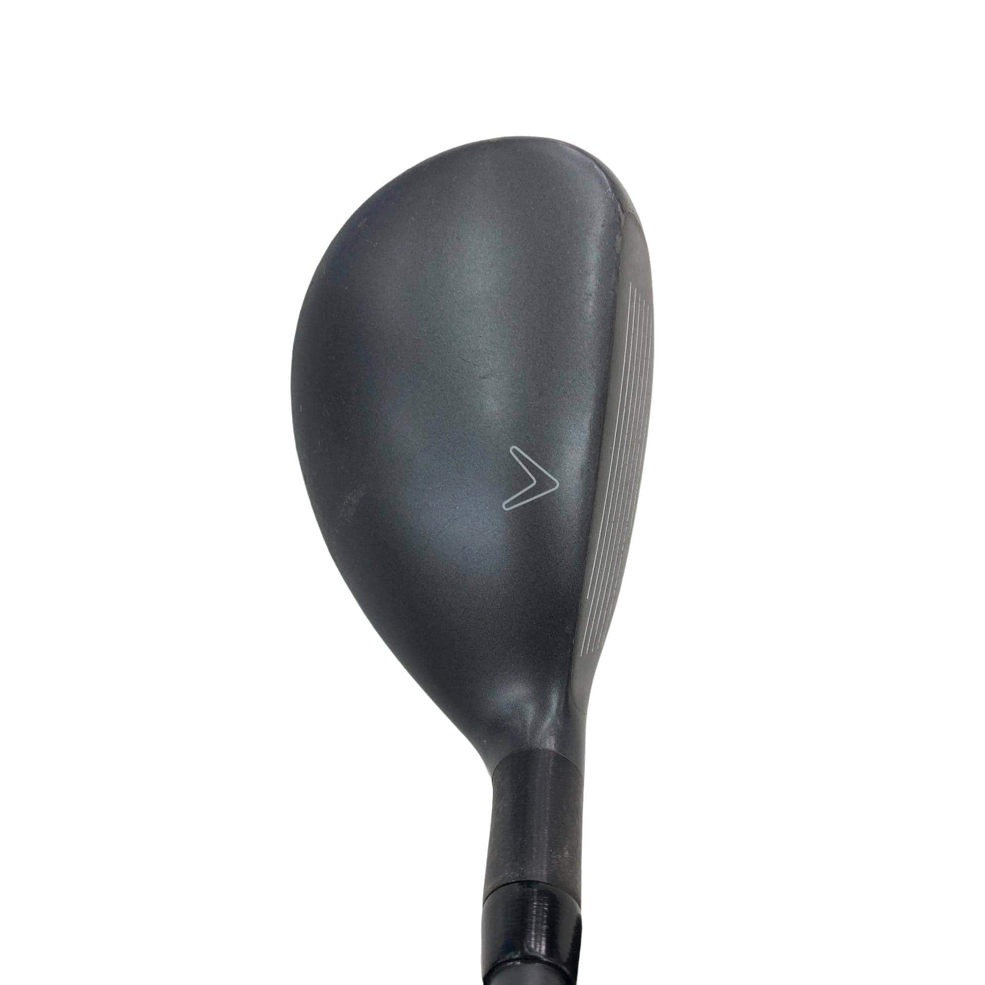 �w�Q�@�g�n�s�@�t�R�@���t�e�B�@�t�r�`