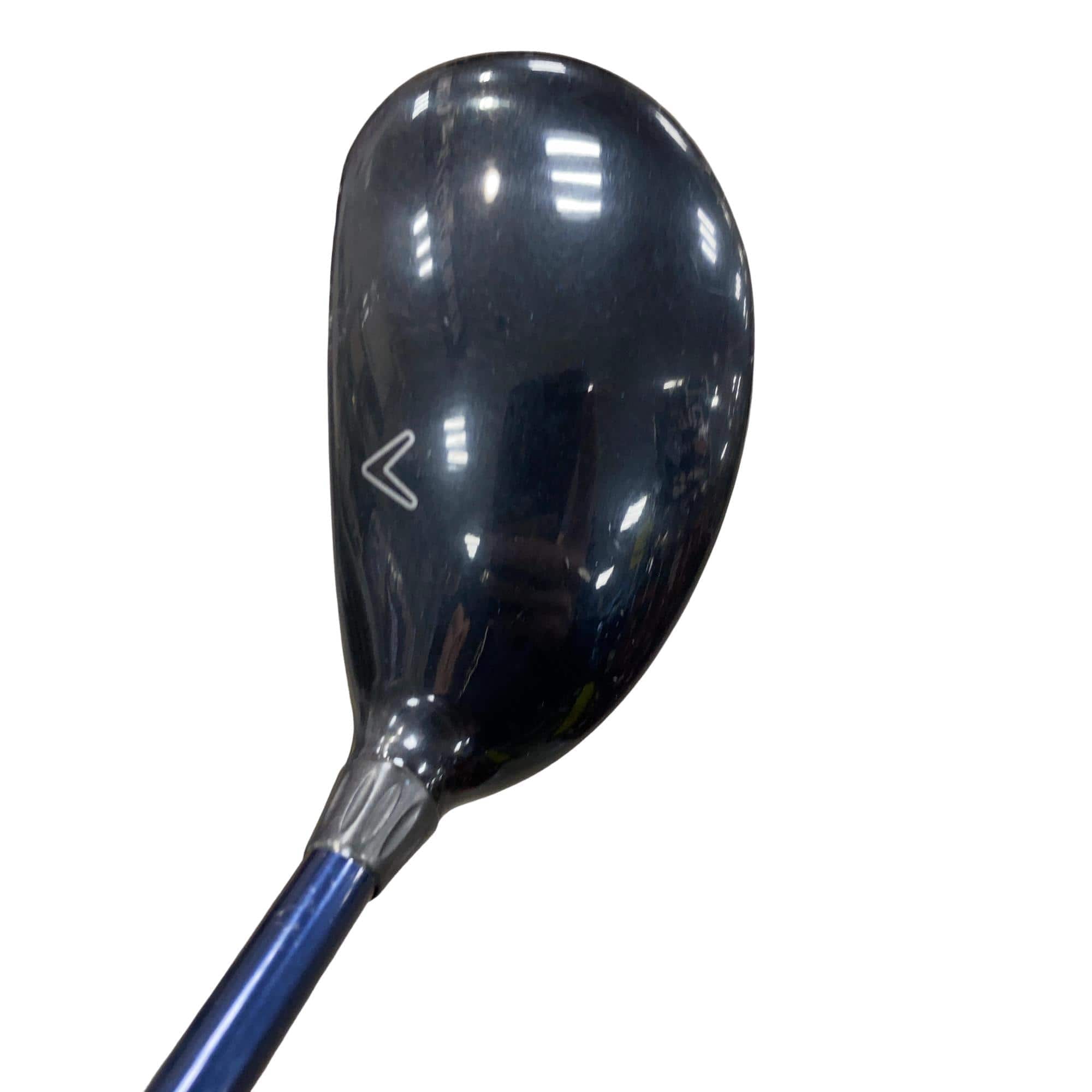 �w�@�c�q�r�@���[�e�B���e�B�@�S�g�i�Q�S°�j