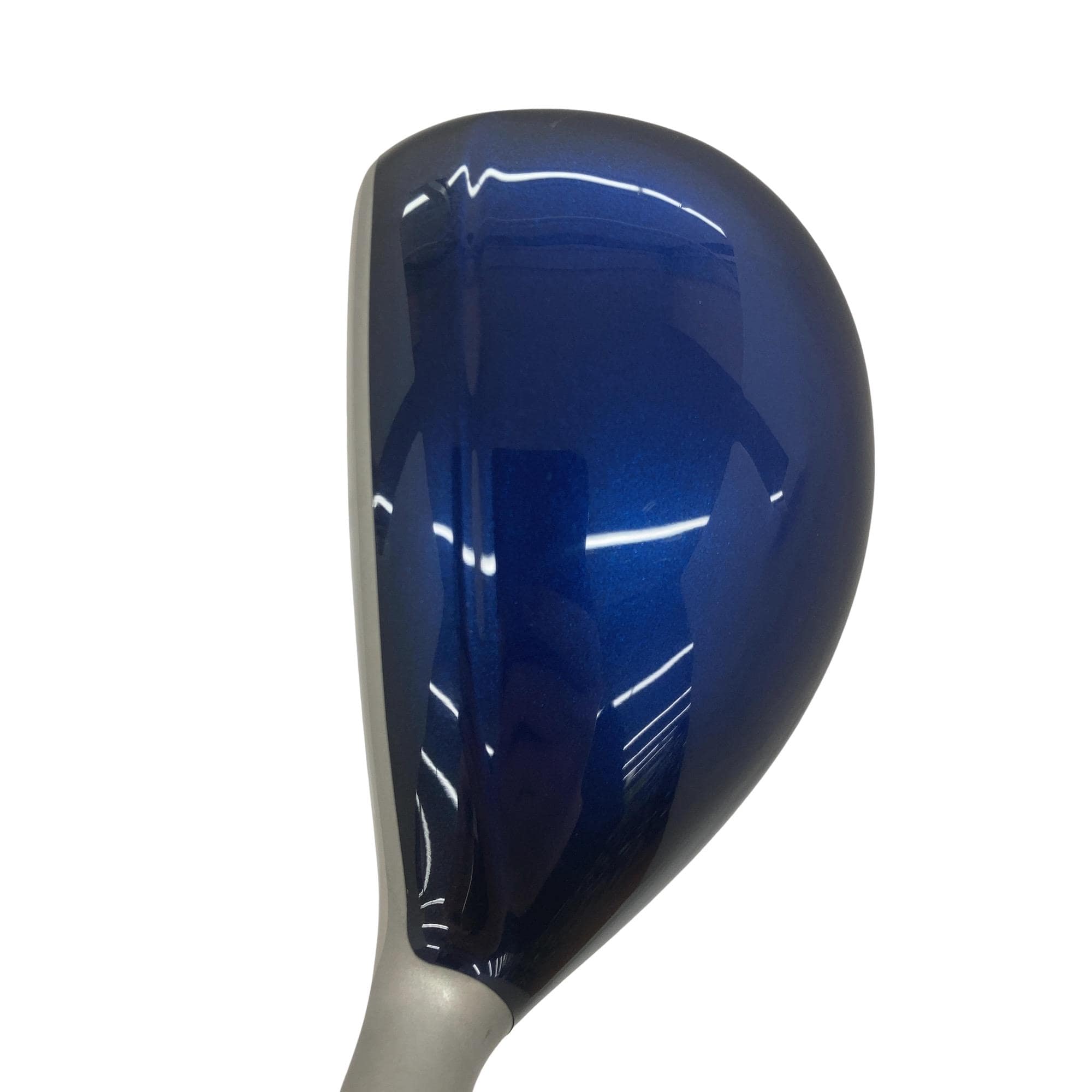 �w�w�h�n�i�Q�O�P�W�j�@�g�T