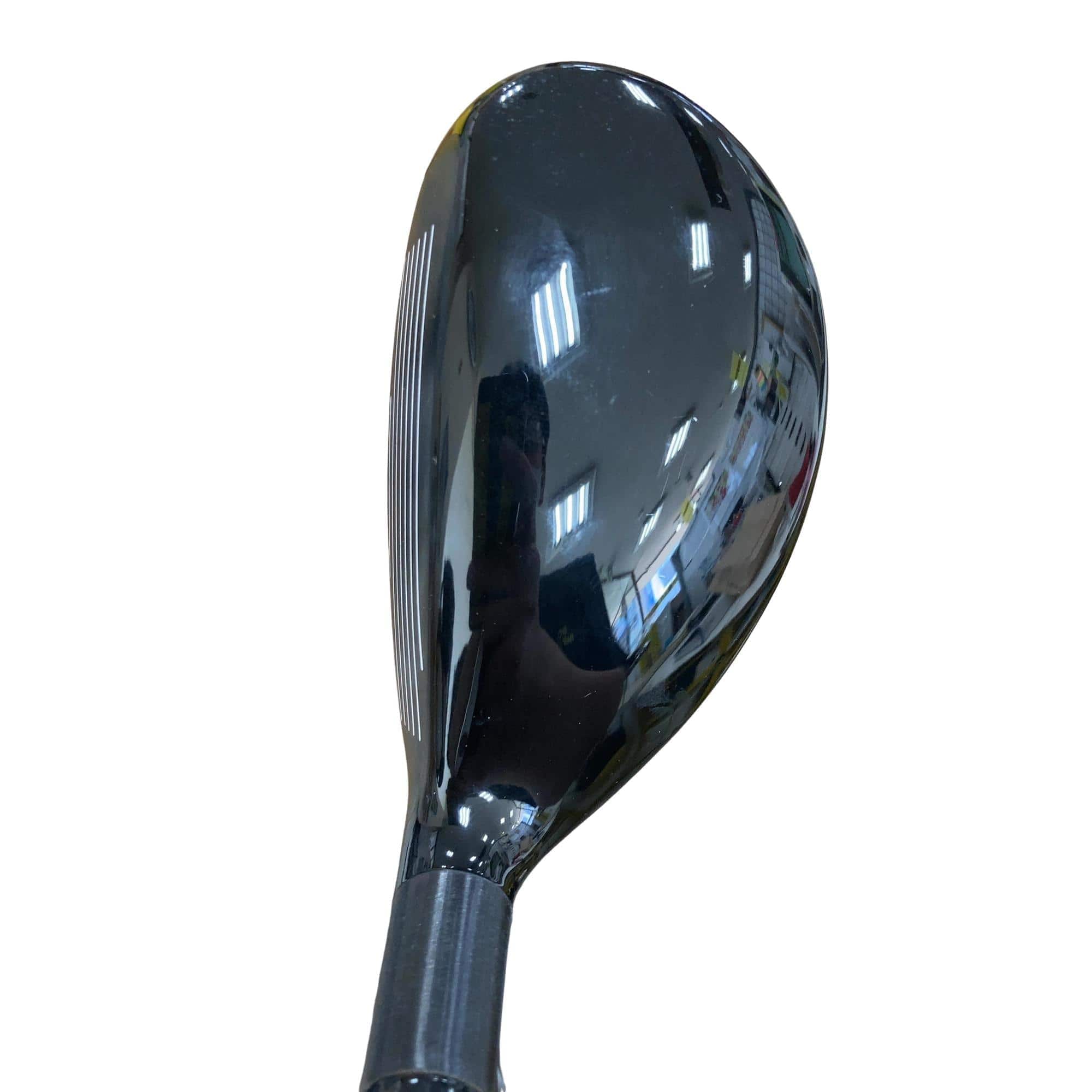 �w�Q�@�g�n�s�@�o�q�n�@�P�W°