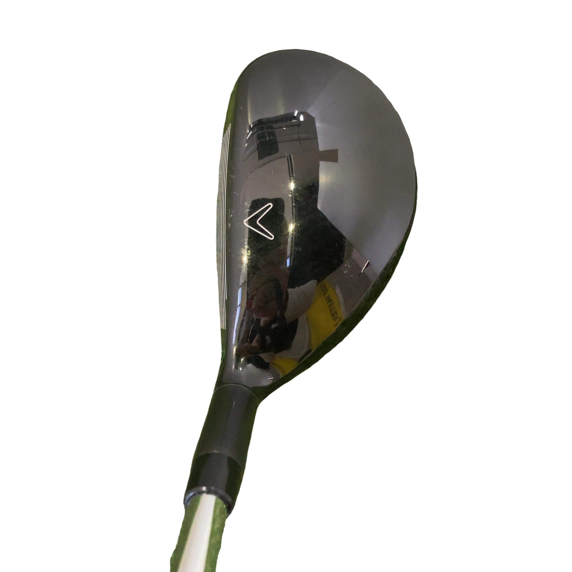 �w�Q�@�g�n�s�@�t�R