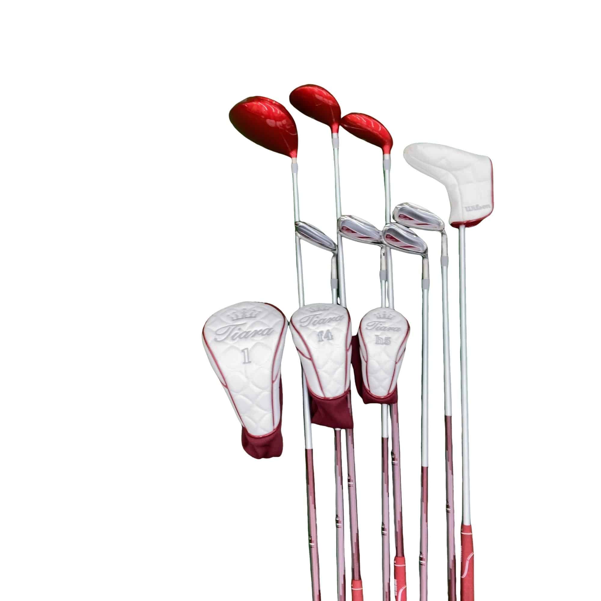 �v�����������@�s���������@�l�n�c�`�@�W�r�i���b�h�j�@���f�B�[�X�i���{���F�W�{�Z�b�g�j