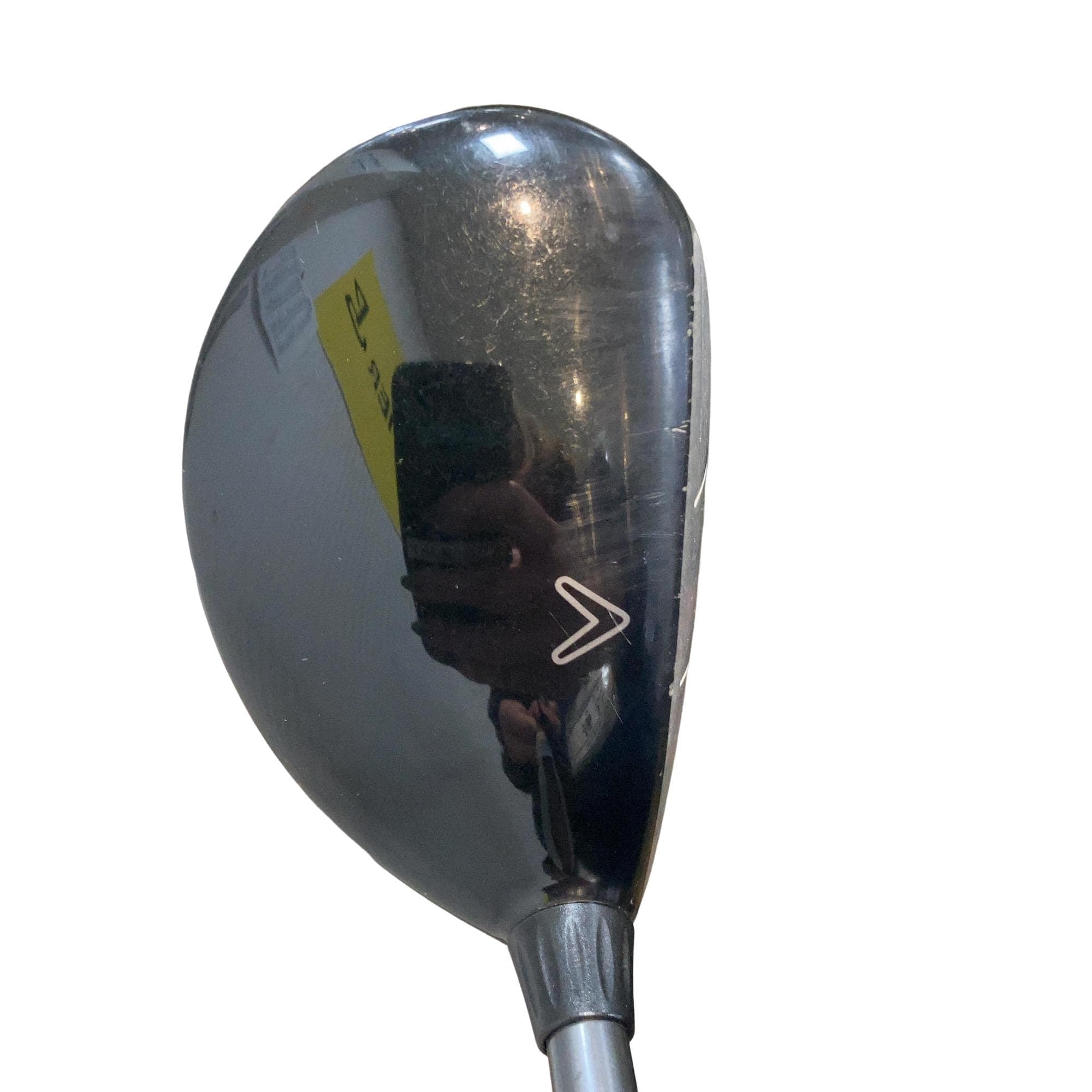 �w�@���[�e�B���e�B�@�R�g�i�Q�P°�j�@���t�e�B