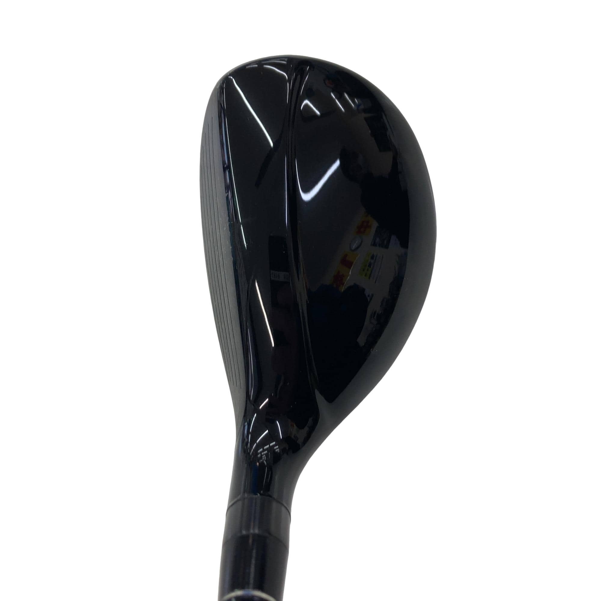 �r�q�h�w�n�m�@�y�w�@�g�@�t�T