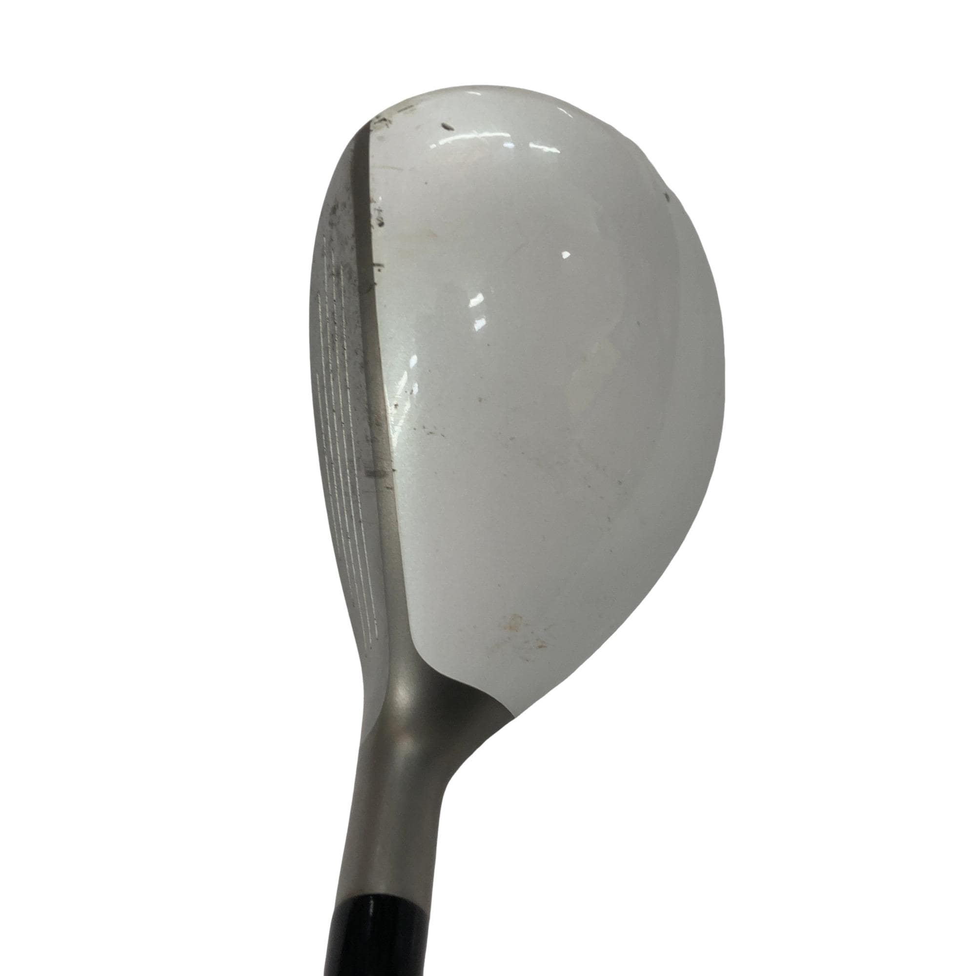 �a�q�|�w�@�t�U�@���f�B�[�X