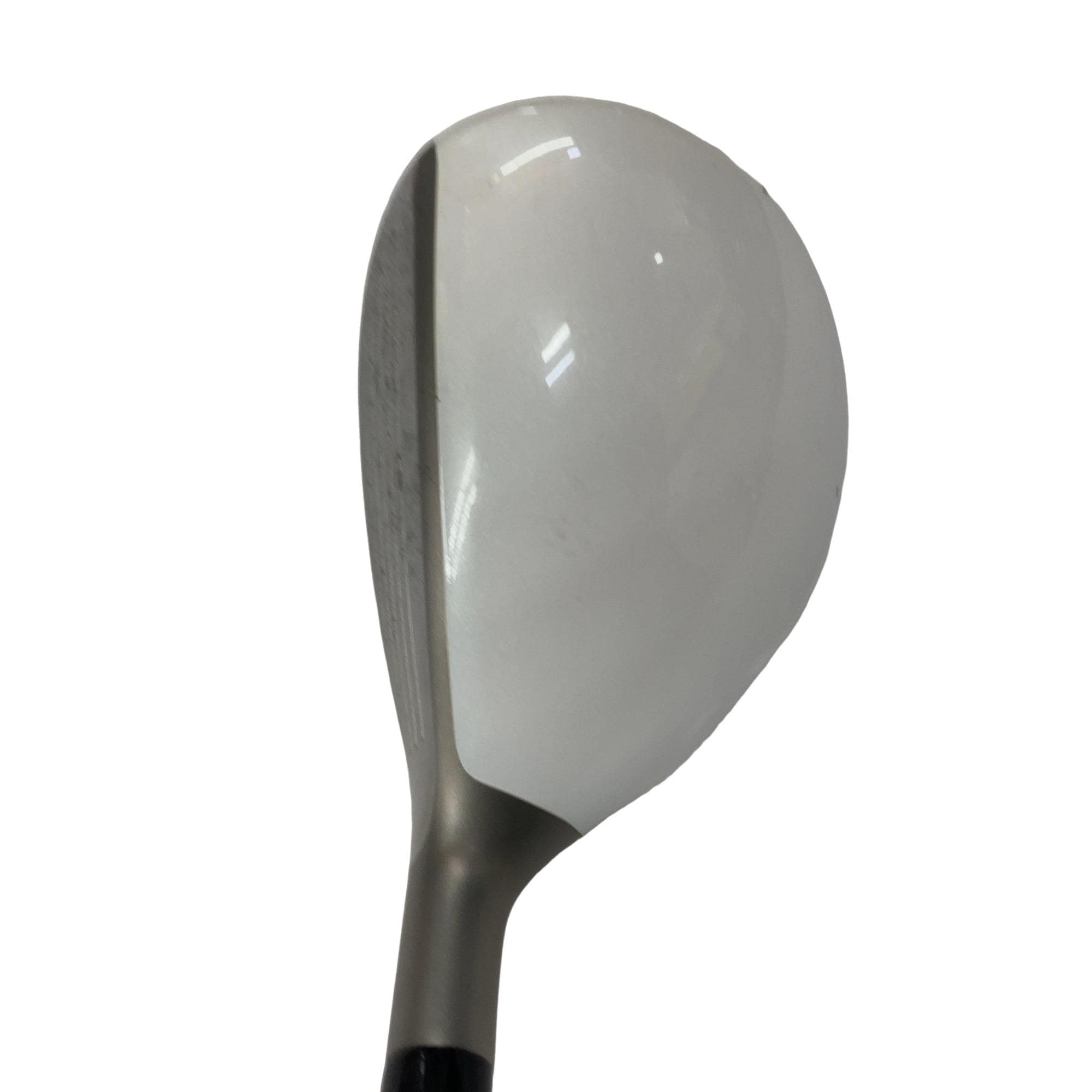 �a�q�|�w�@�t�T�@���f�B�[�X