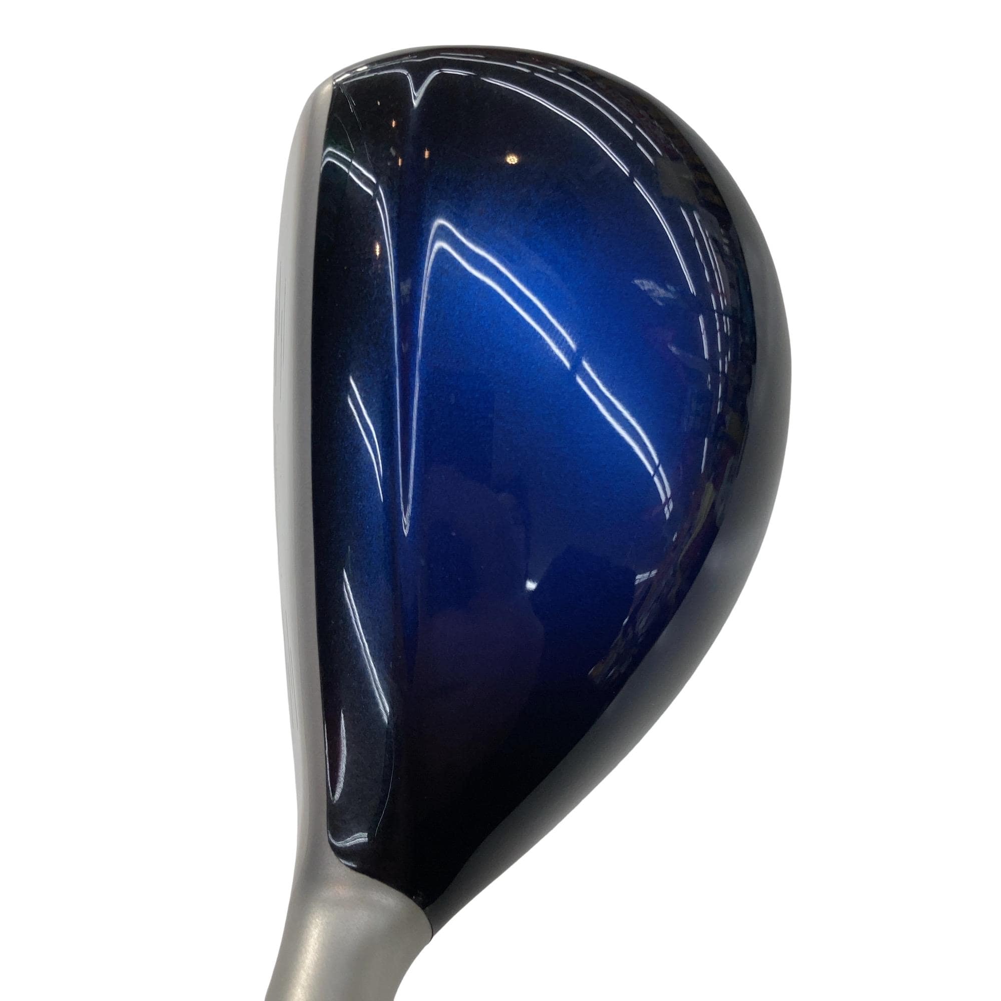 �w�w�h�n�i�Q�O�P�W�j�@�g�T