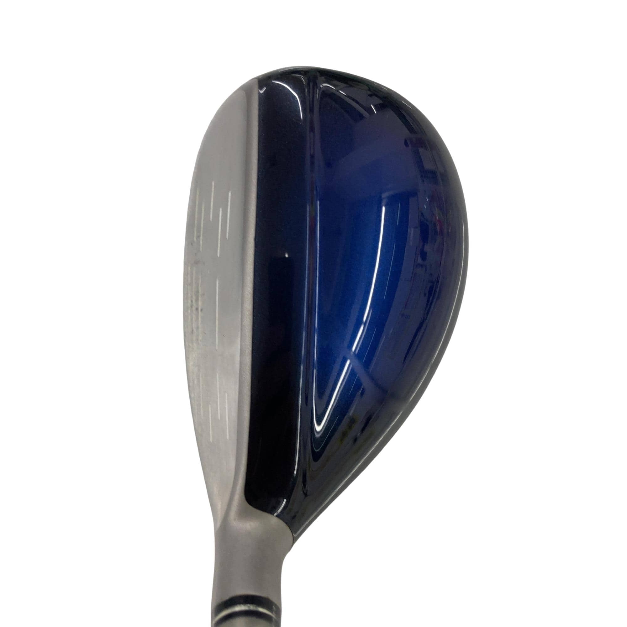 �w�w�h�n�i�Q�O�P�W�j�@�g�U