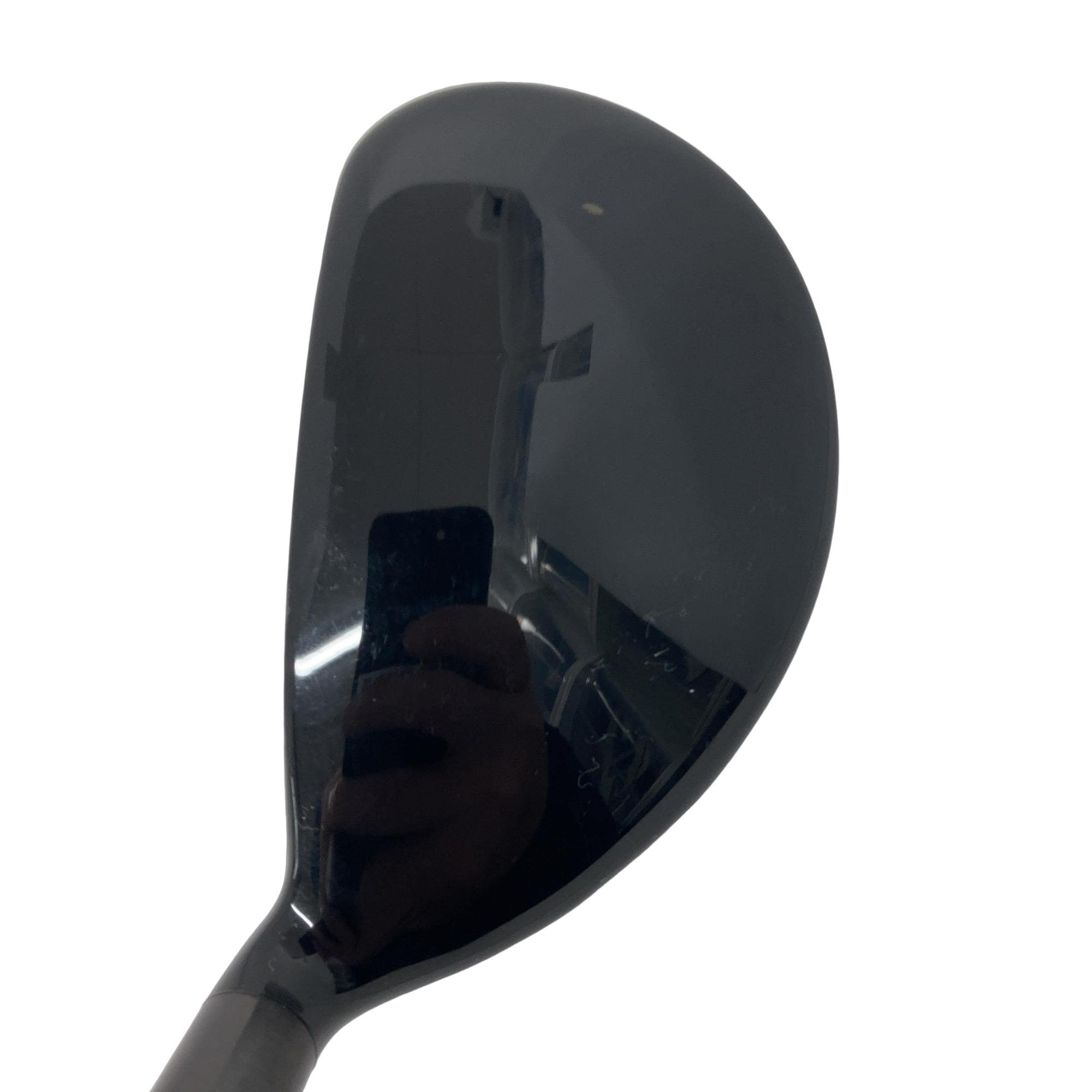 �w�@�g�n�s�@�t�R