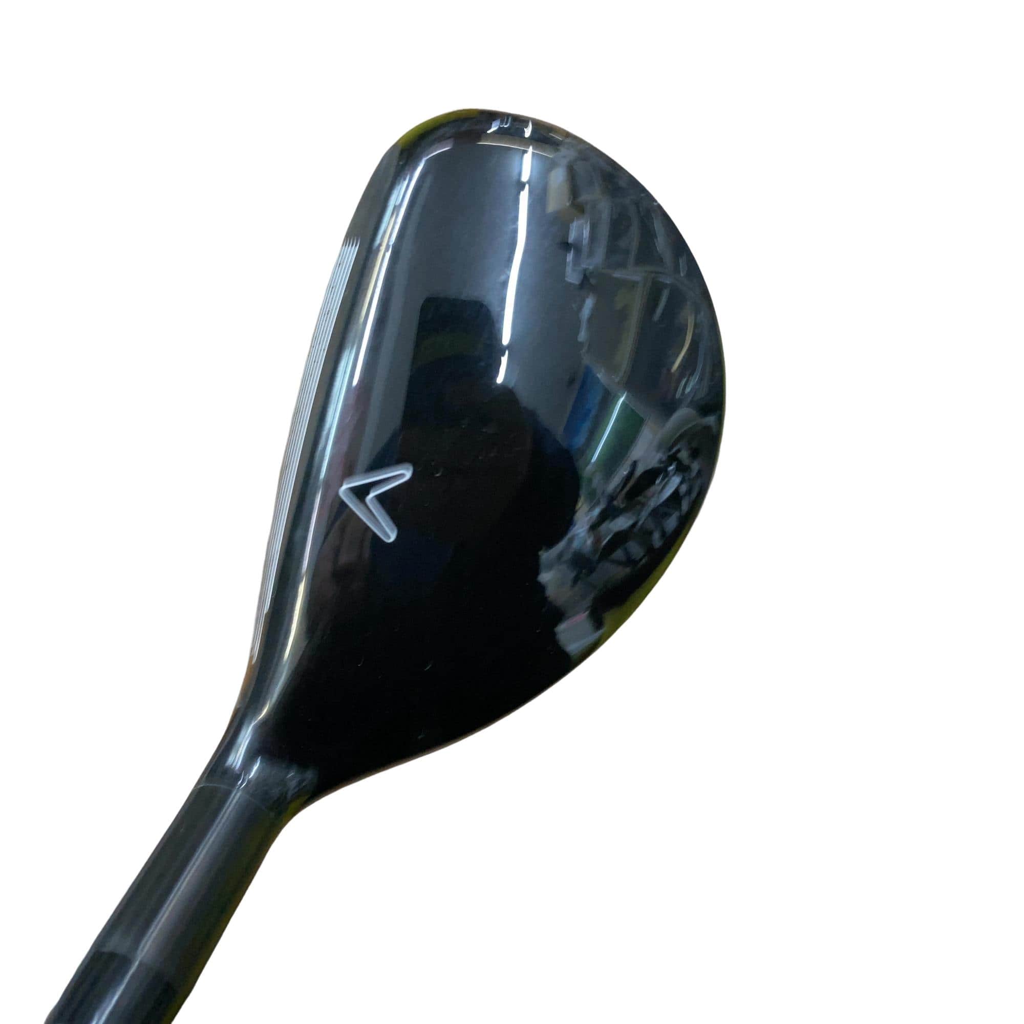 �w�Q�@�g�n�s�@�t�T