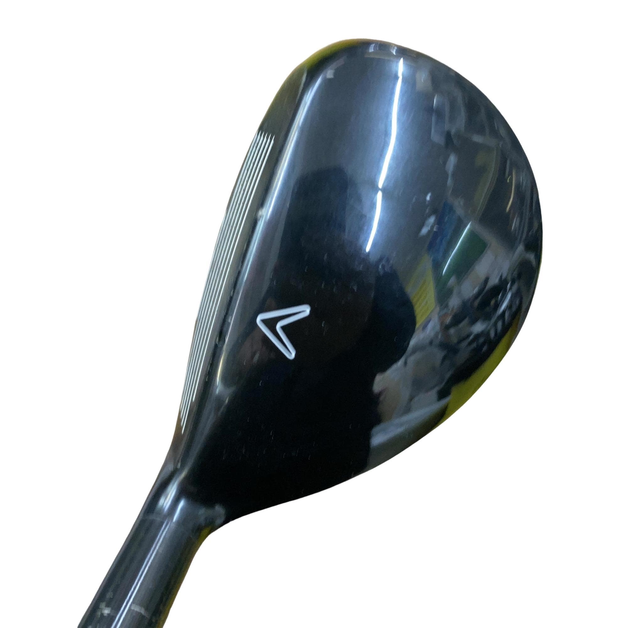 �w�Q�@�g�n�s�@�t�S