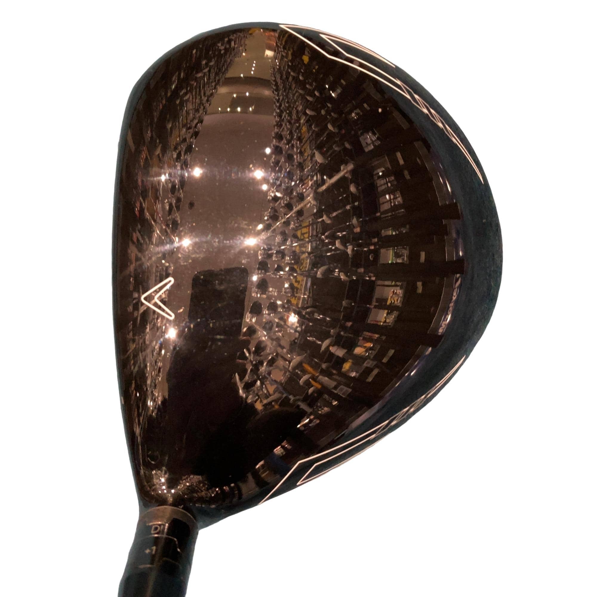 �w�Q�@�g�n�s�@�@�X°